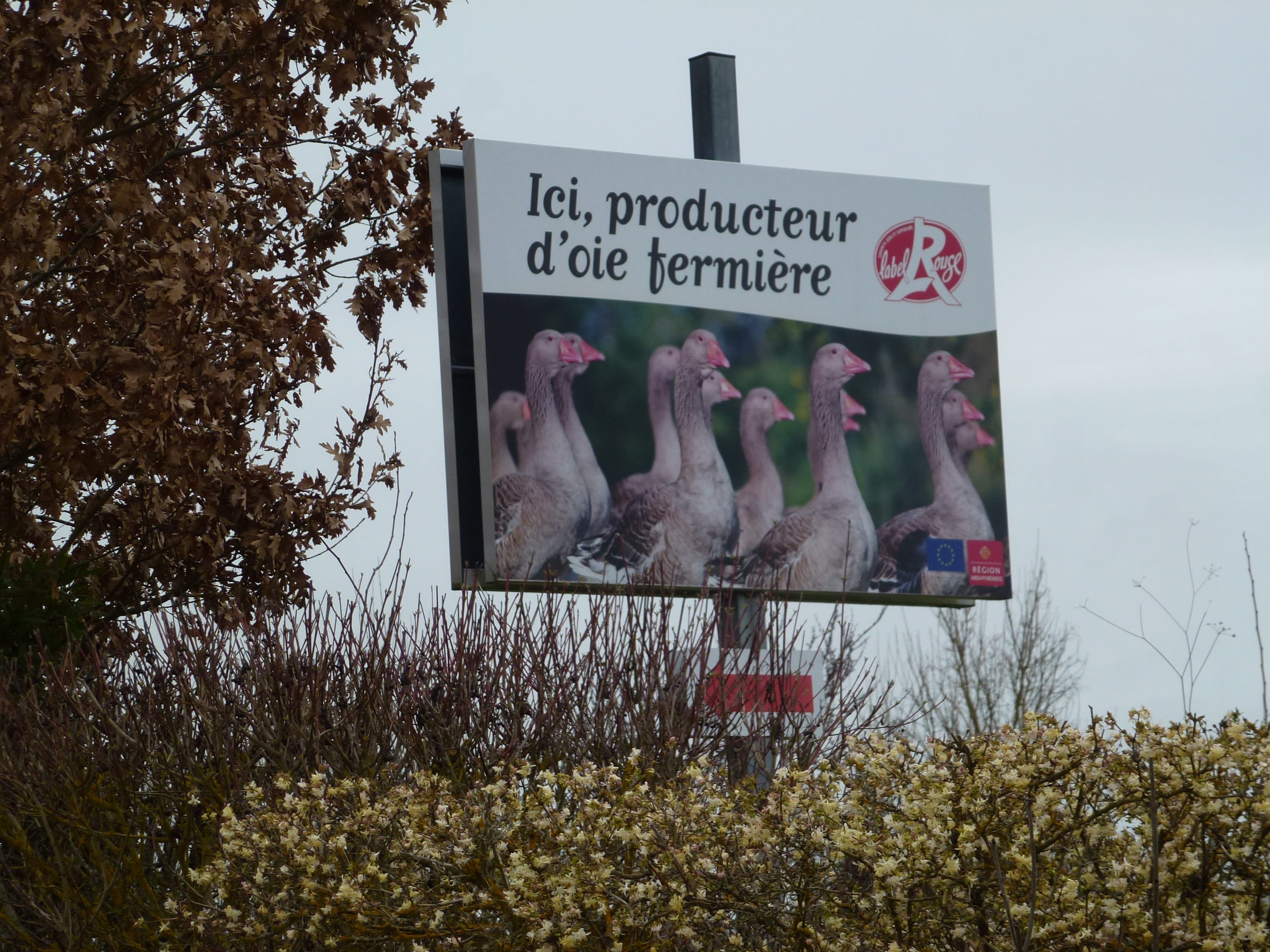 GersementP1010121-min.JPG