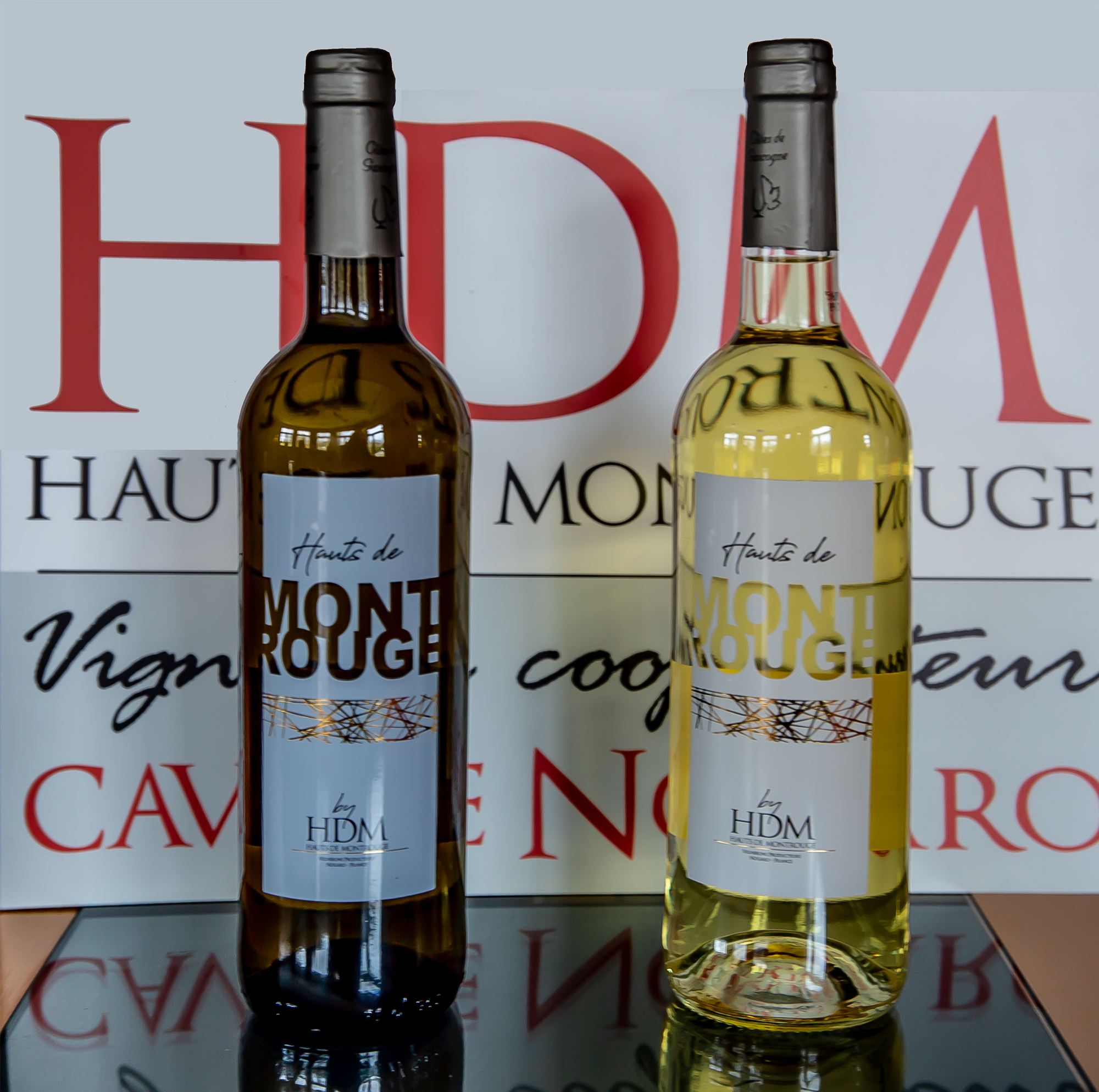 1 HDM IGP Côtes de Gascogne Chardonnay médaillé argent et IGP Petit Manseng médaillé argent 1bis 110319.jpg