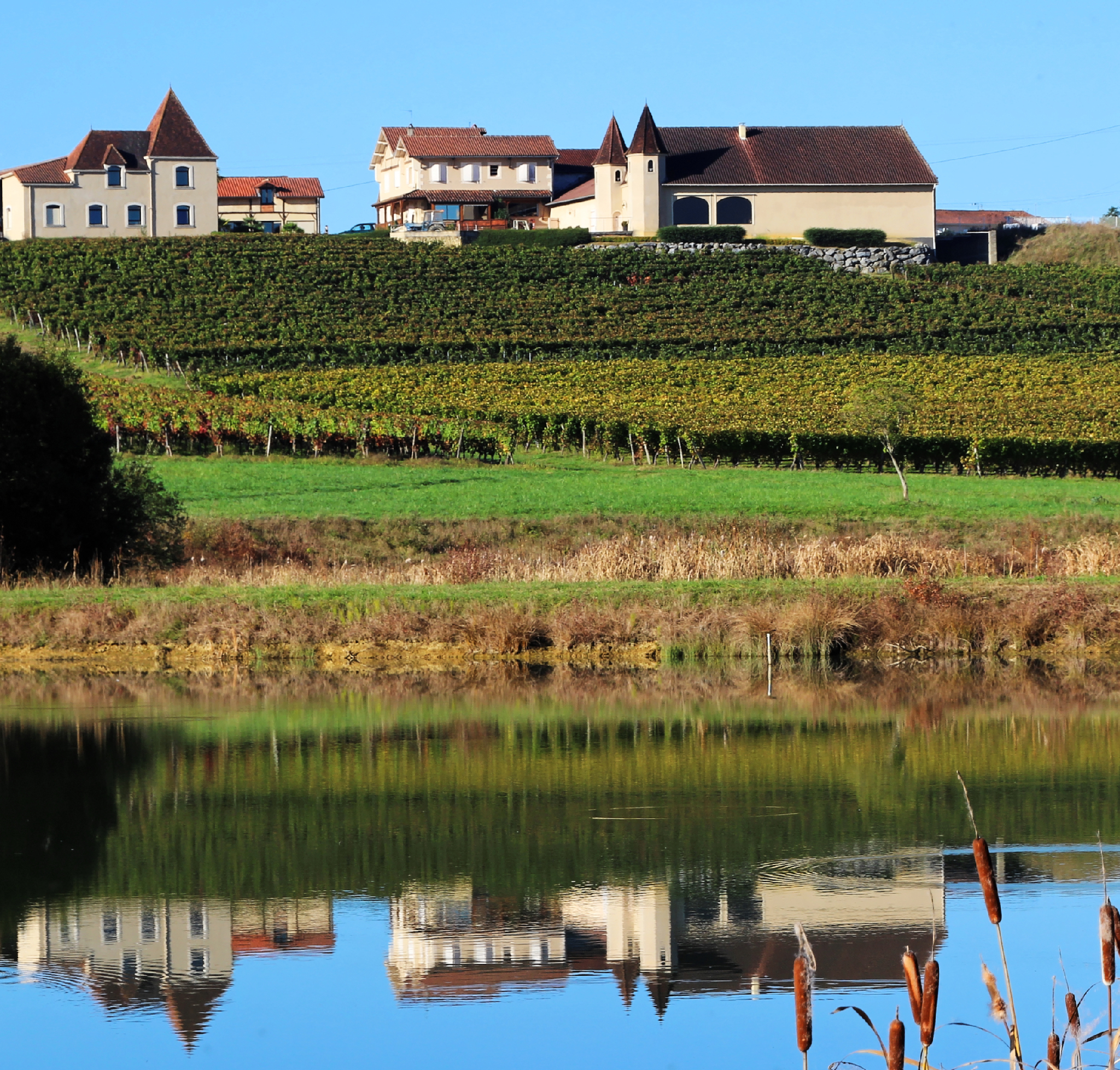 MAUMUSSON CHATEAU J M LAFITTE IMG_8972t copie.jpg