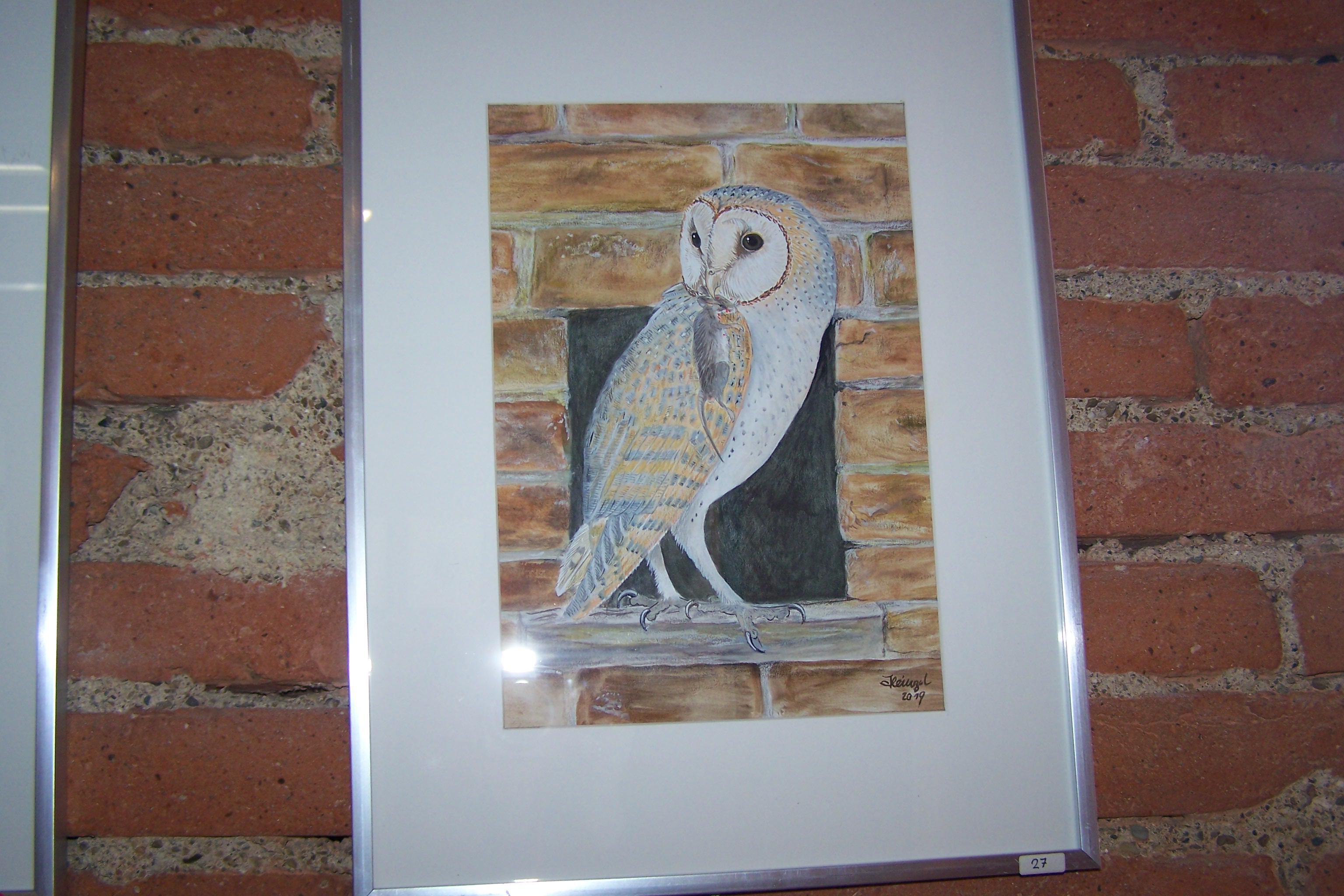 oiseaux herman heinzel samatan médiathèque2019 003.JPG