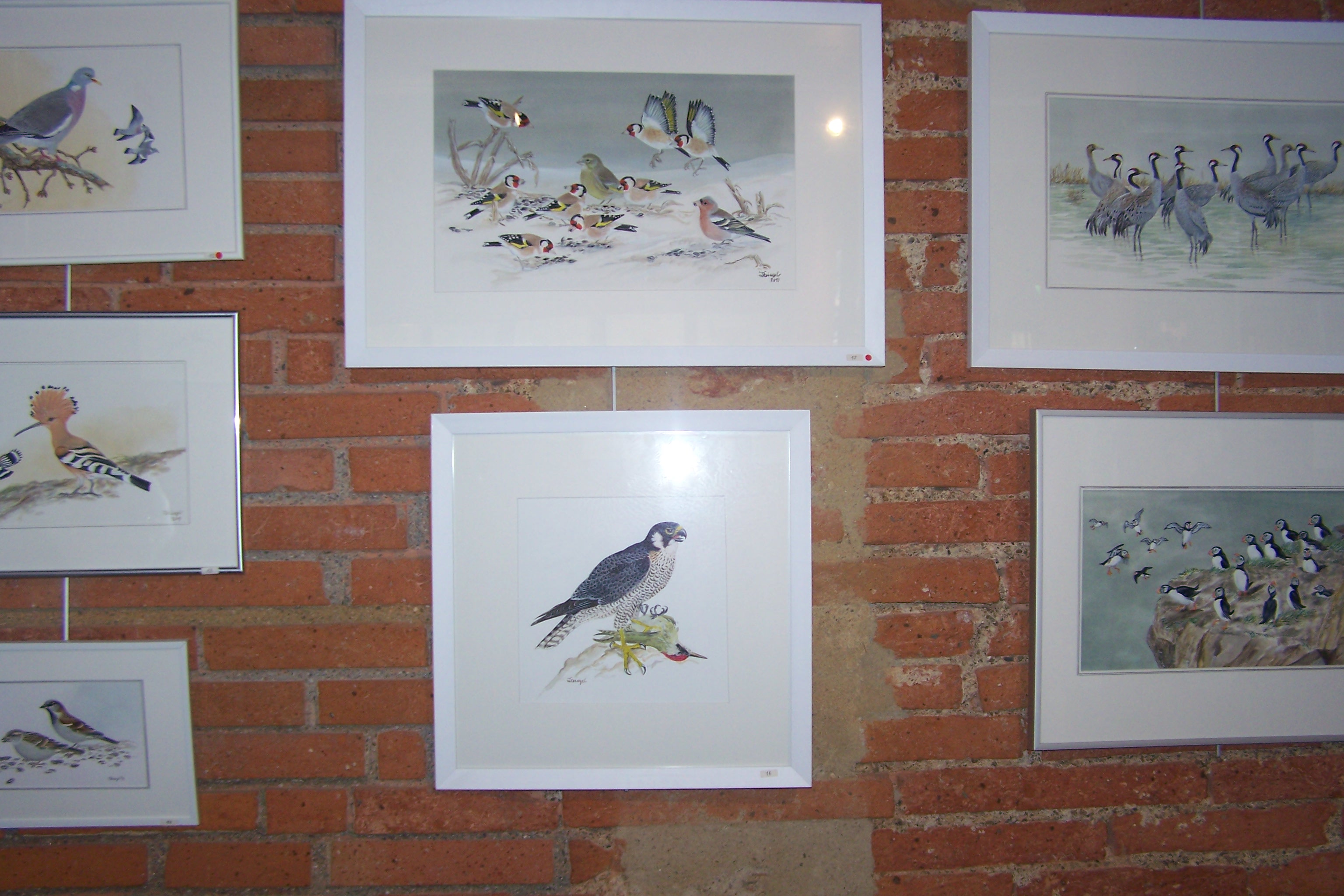 oiseaux herman heinzel samatan médiathèque2019 001.JPG