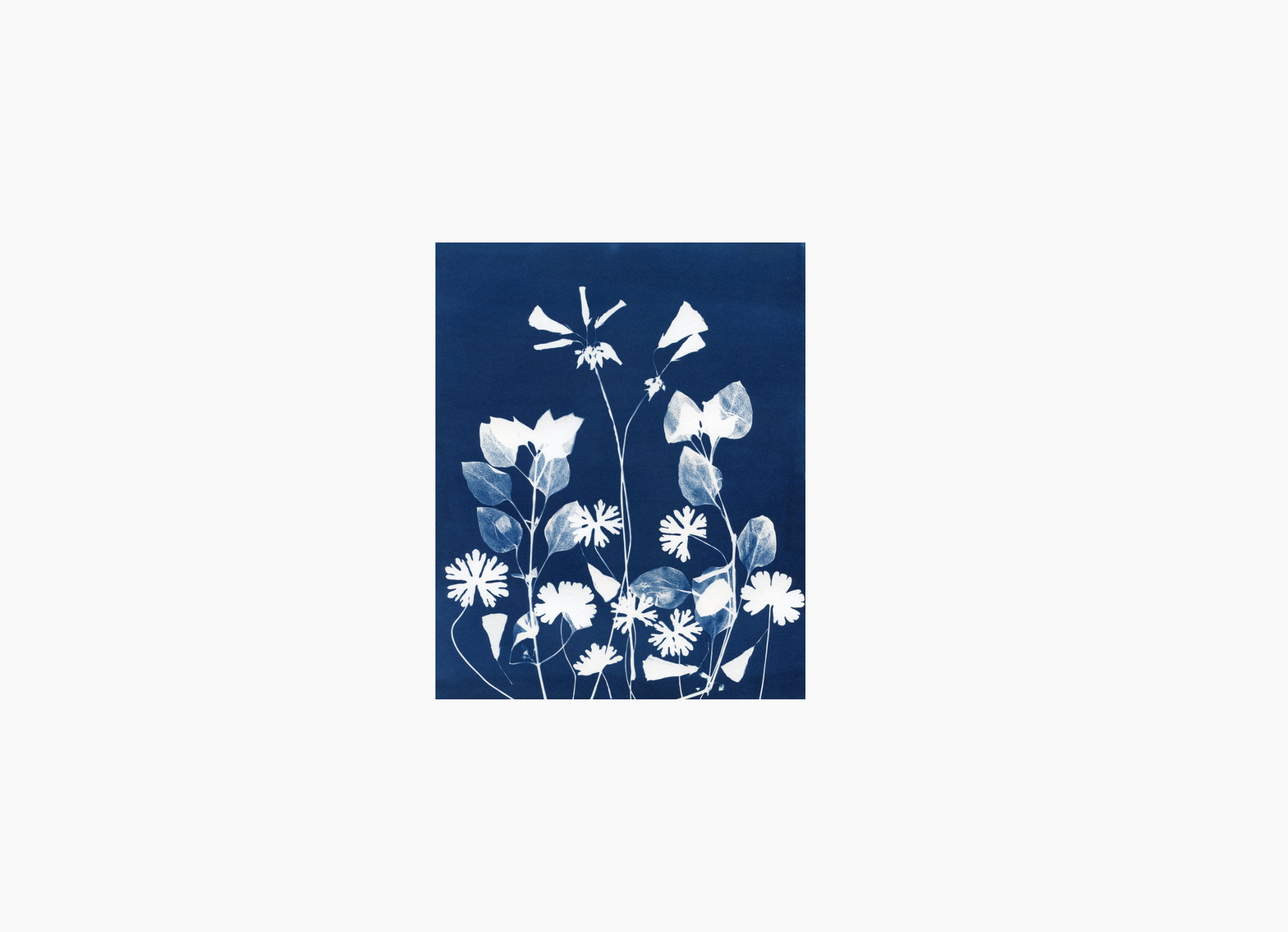3 DR bibliothèque de Vevey Cyanotype.jpg