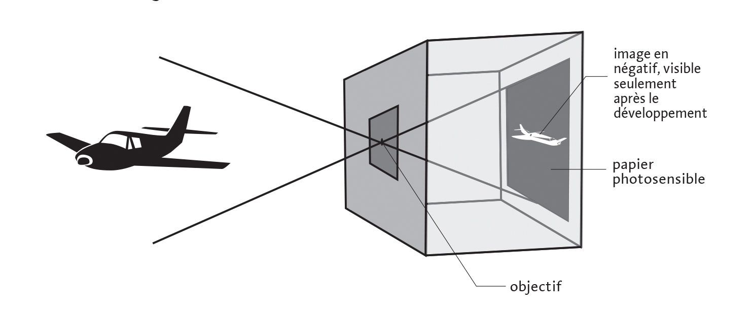 stenope-1.jpg