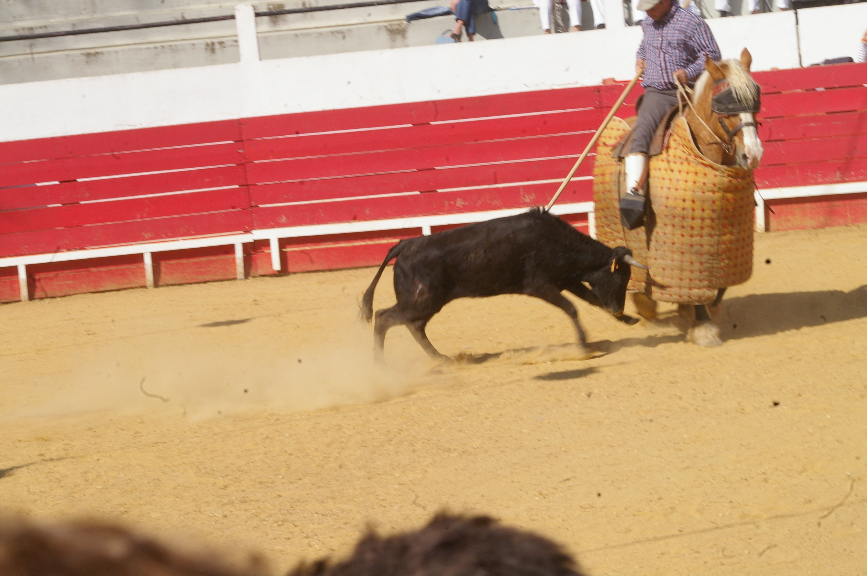 IMGP7090.JPG