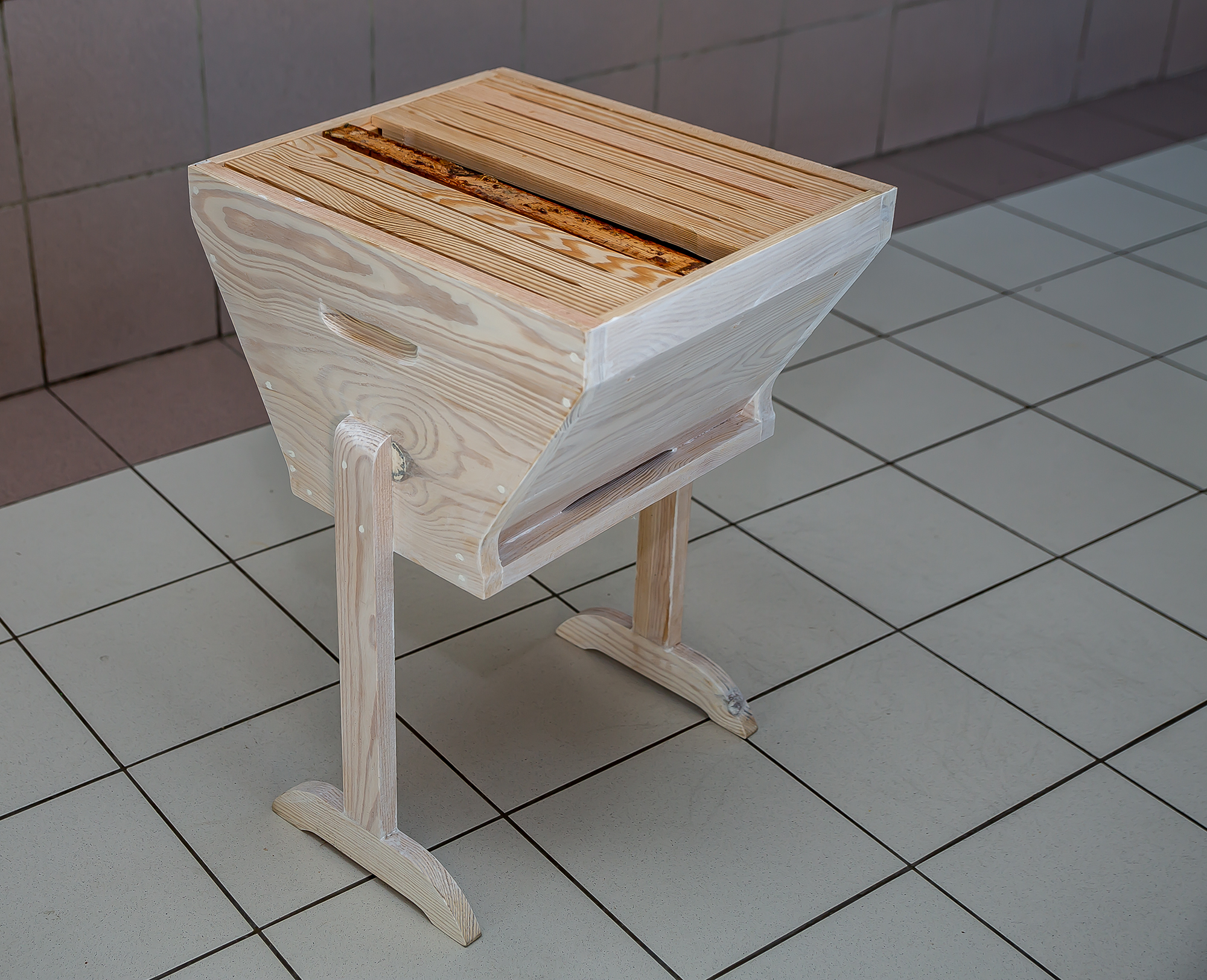4 Modèle de ruche 1bis 280319.jpg