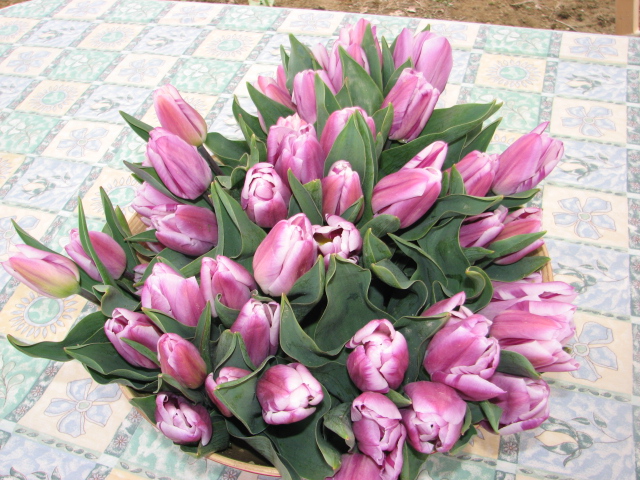 RISCLE Un bouquet, un don.JPG