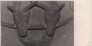 les cerfs.jpg