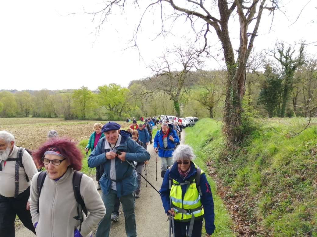 Rando aubépine 07 04 2019 (2).jpg