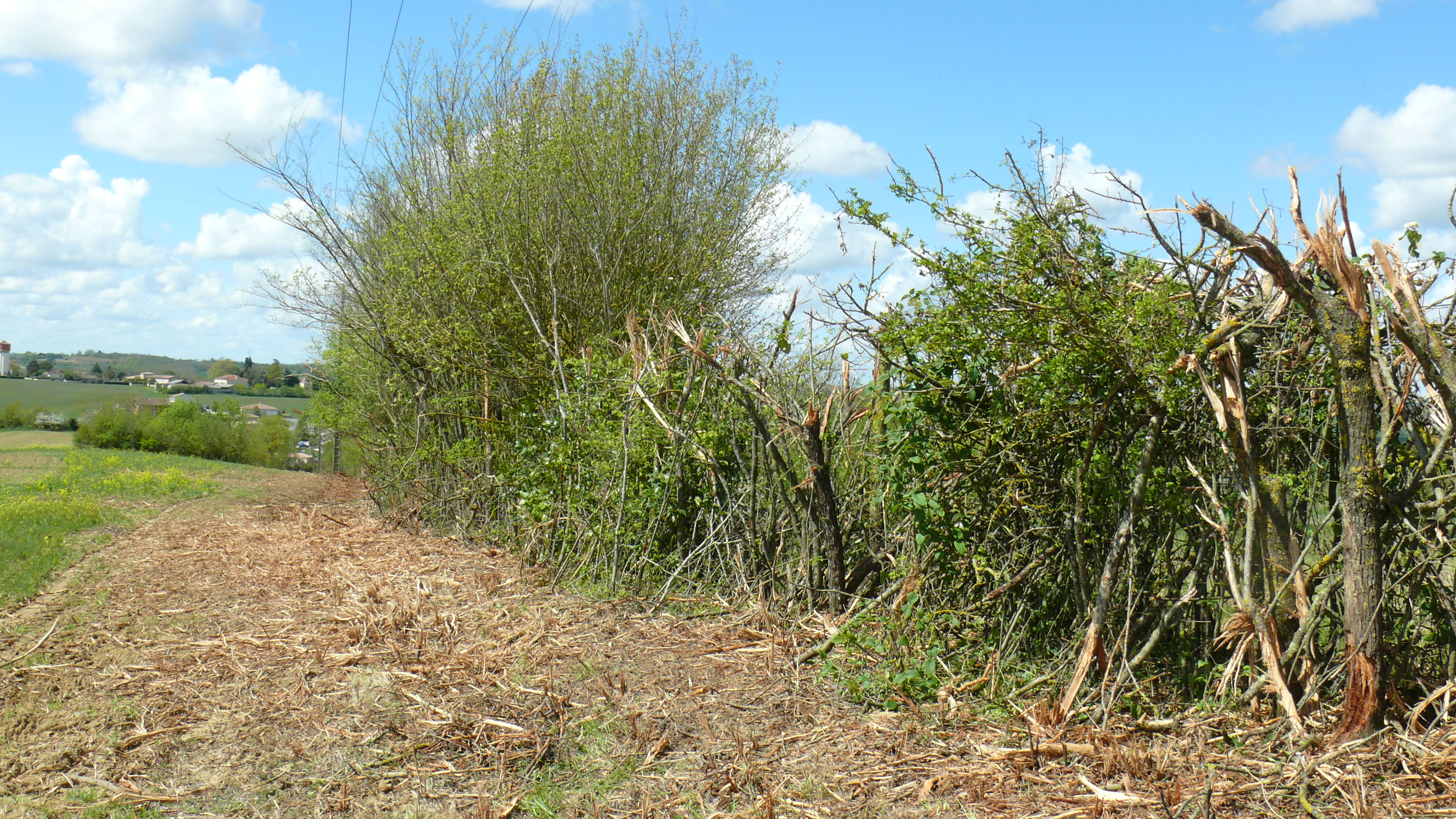 P1540173.JPG