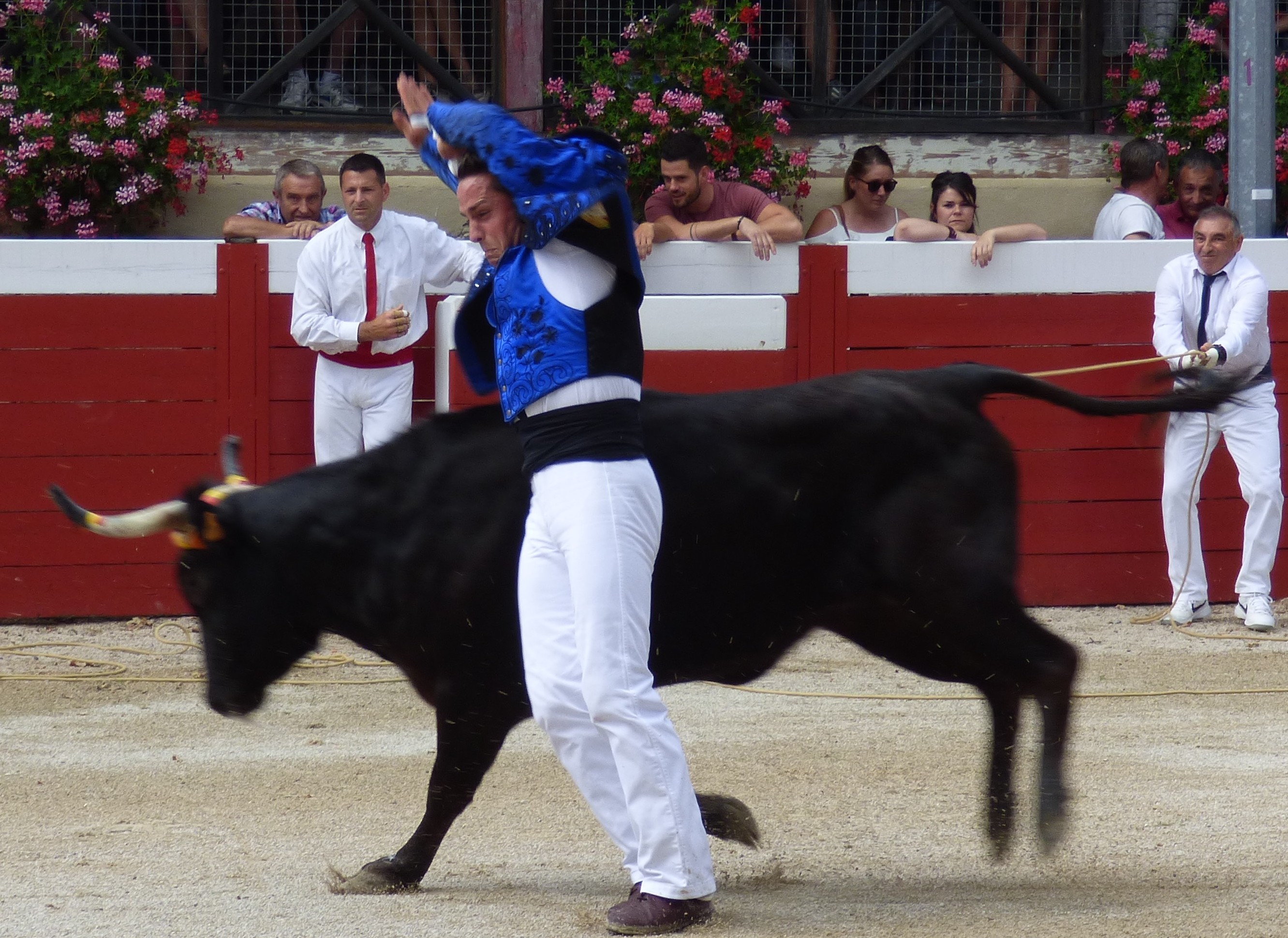 P1050173.JPG