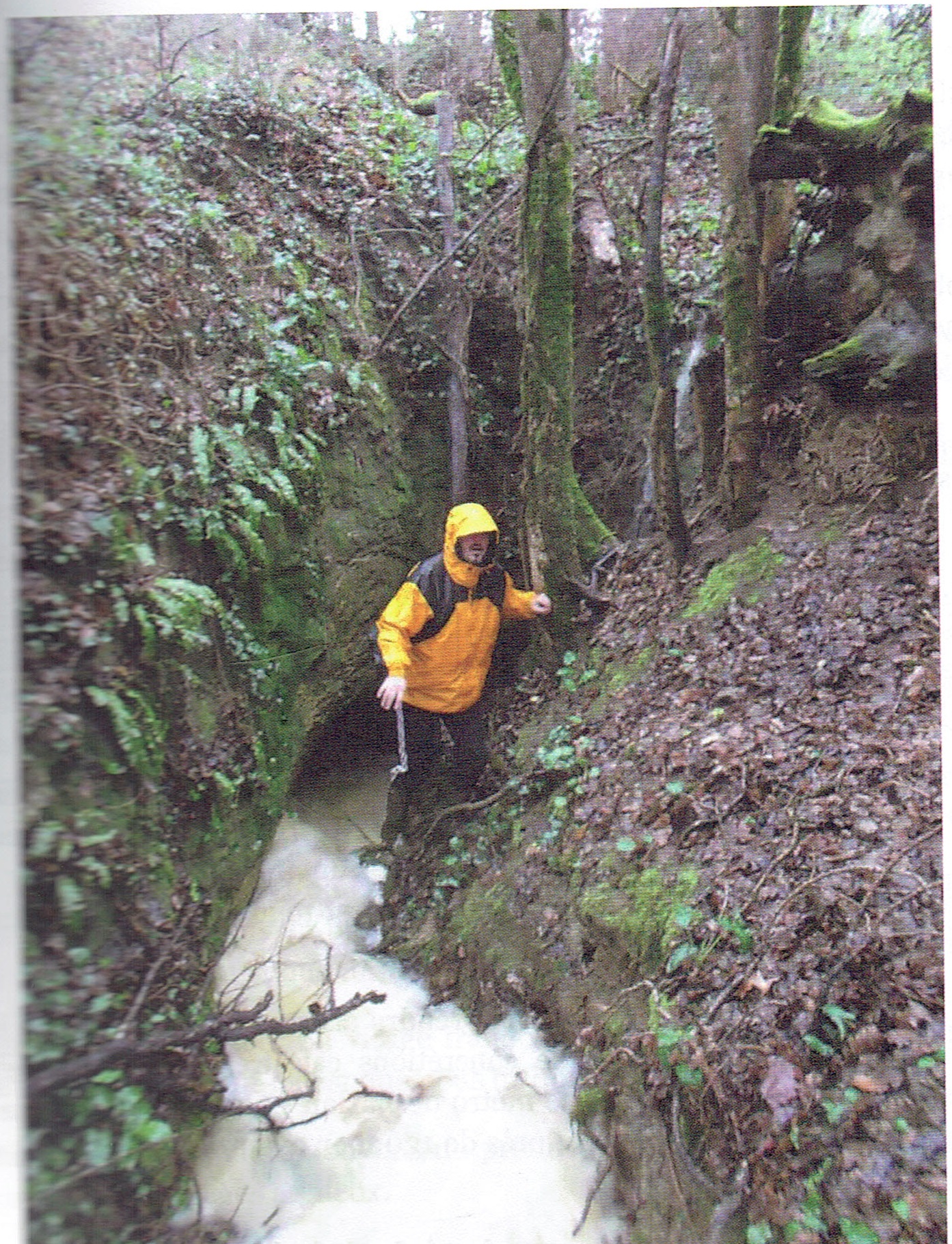 GROTTE BAZIAN.jpg