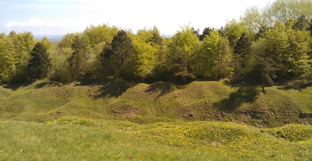 20190420093512FPeR.jpg