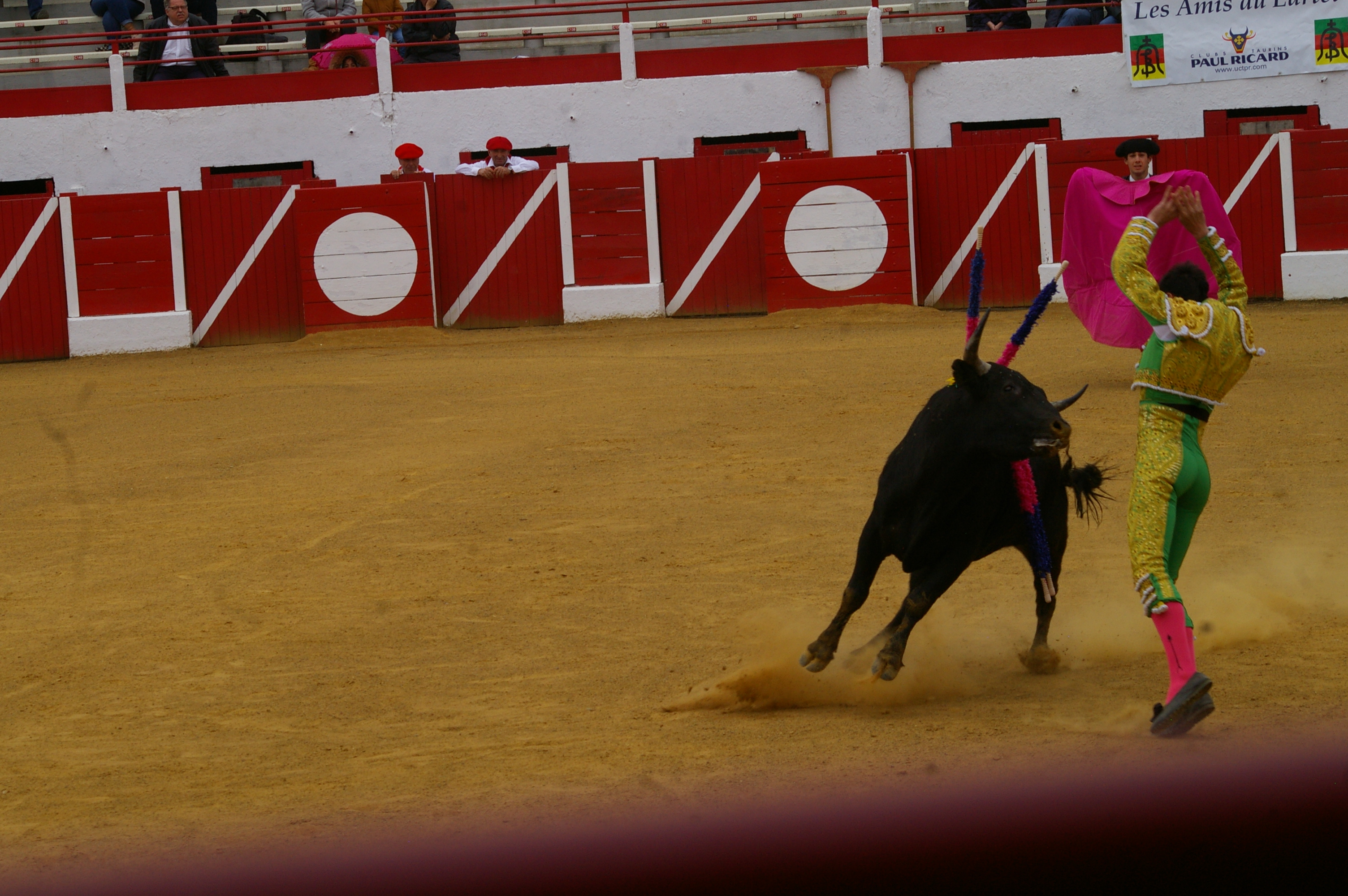IMGP7180.JPG