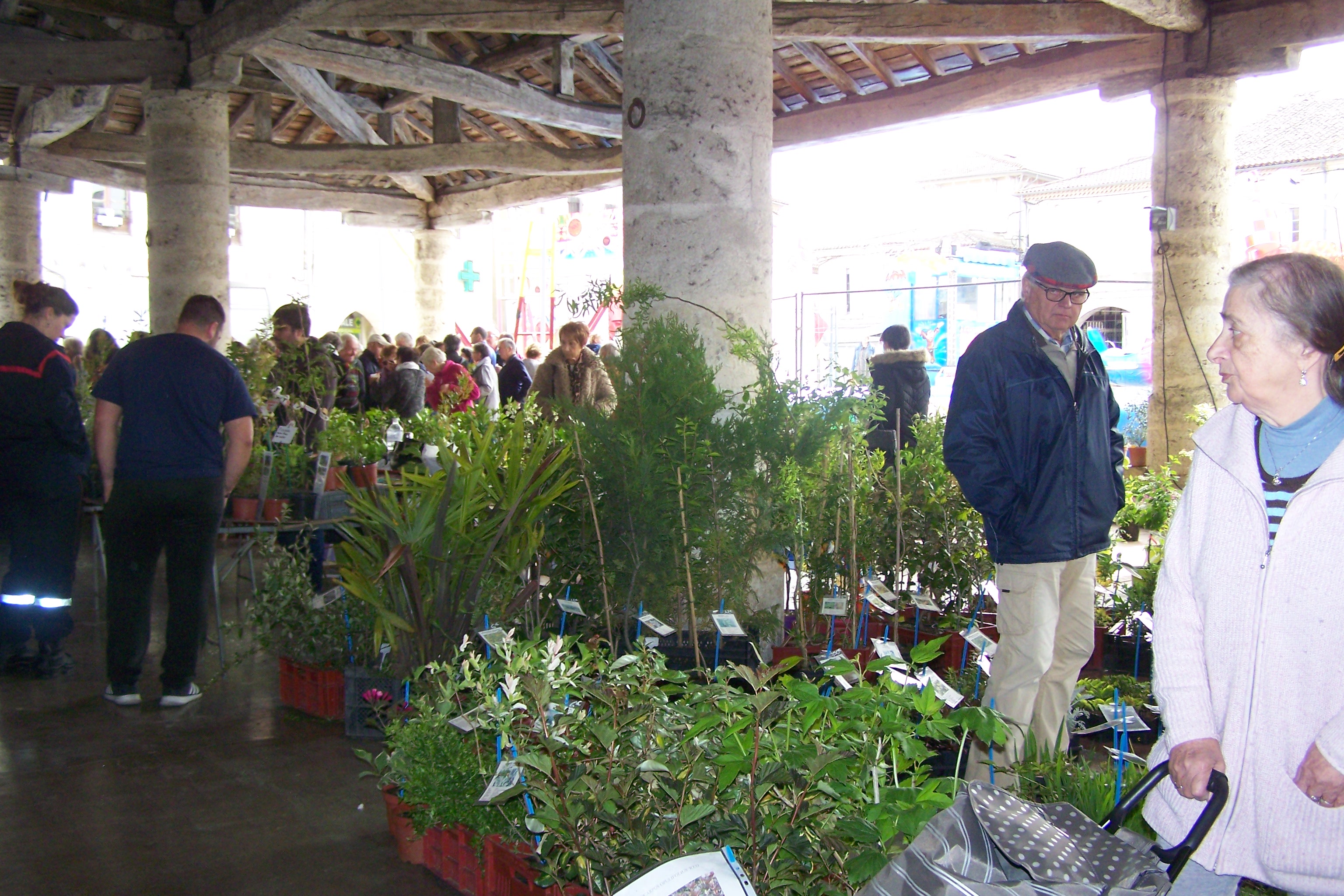 festifoire mauvezin 2019 004.JPG
