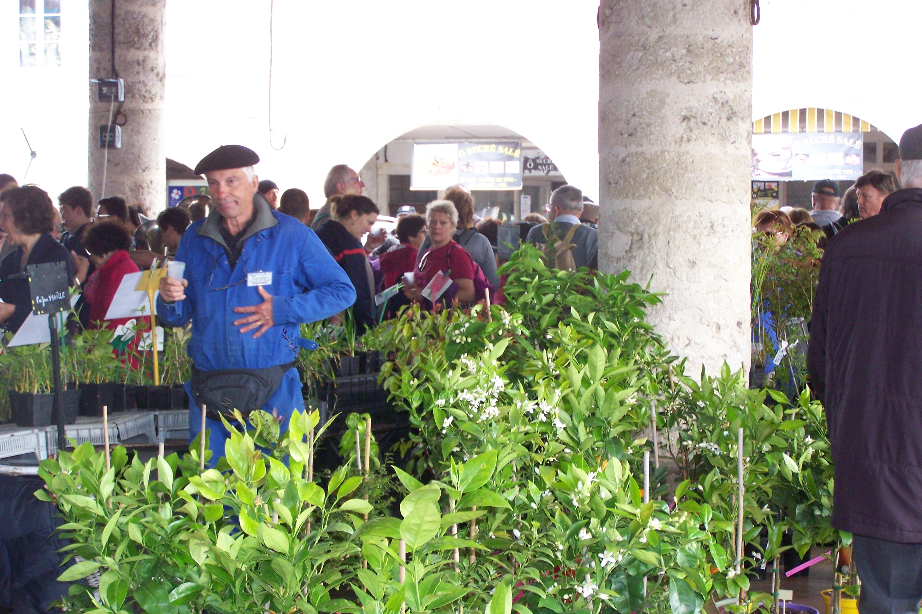 festifoire mauvezin 2019 006.JPG