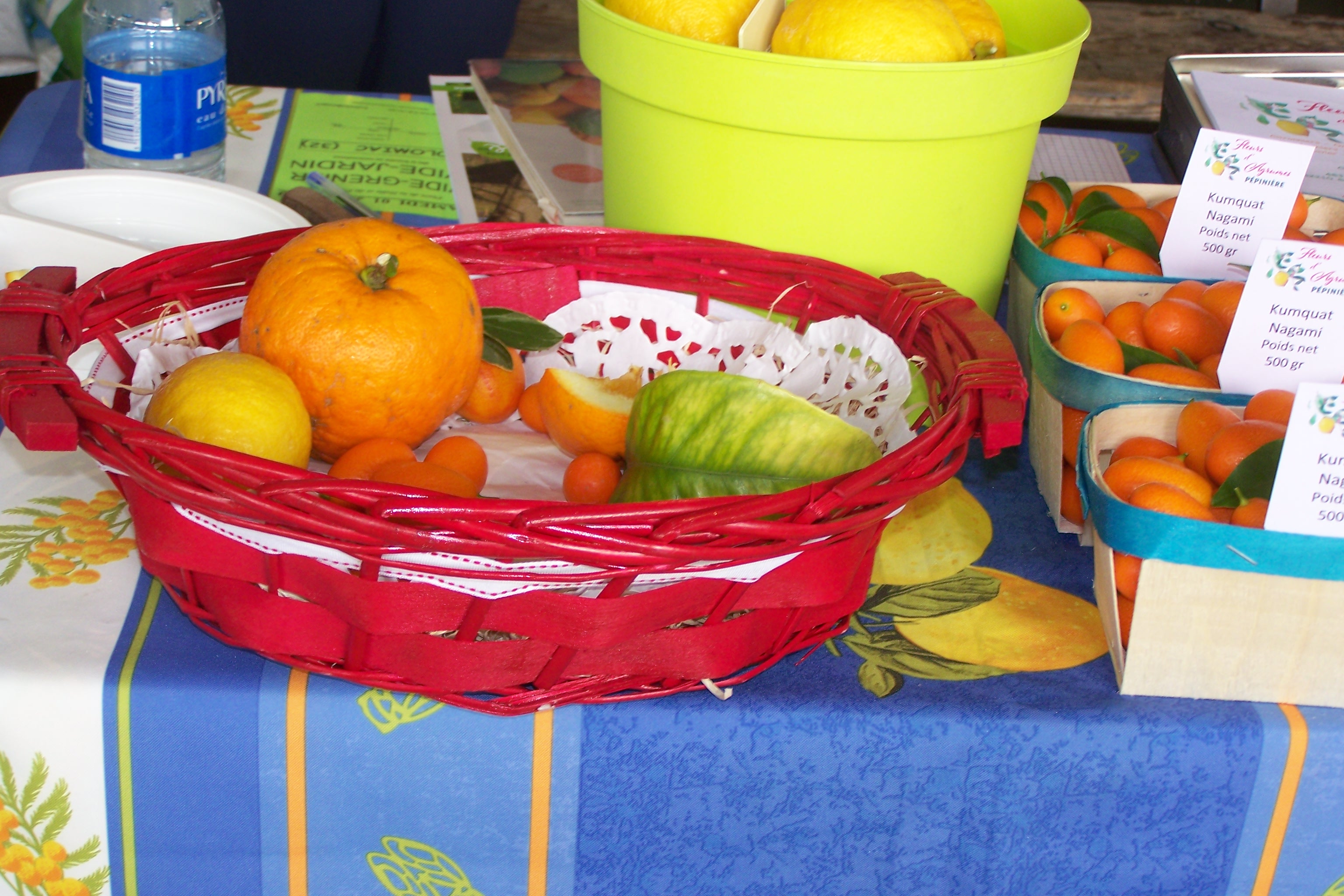 festifoire mauvezin 2019 007.JPG