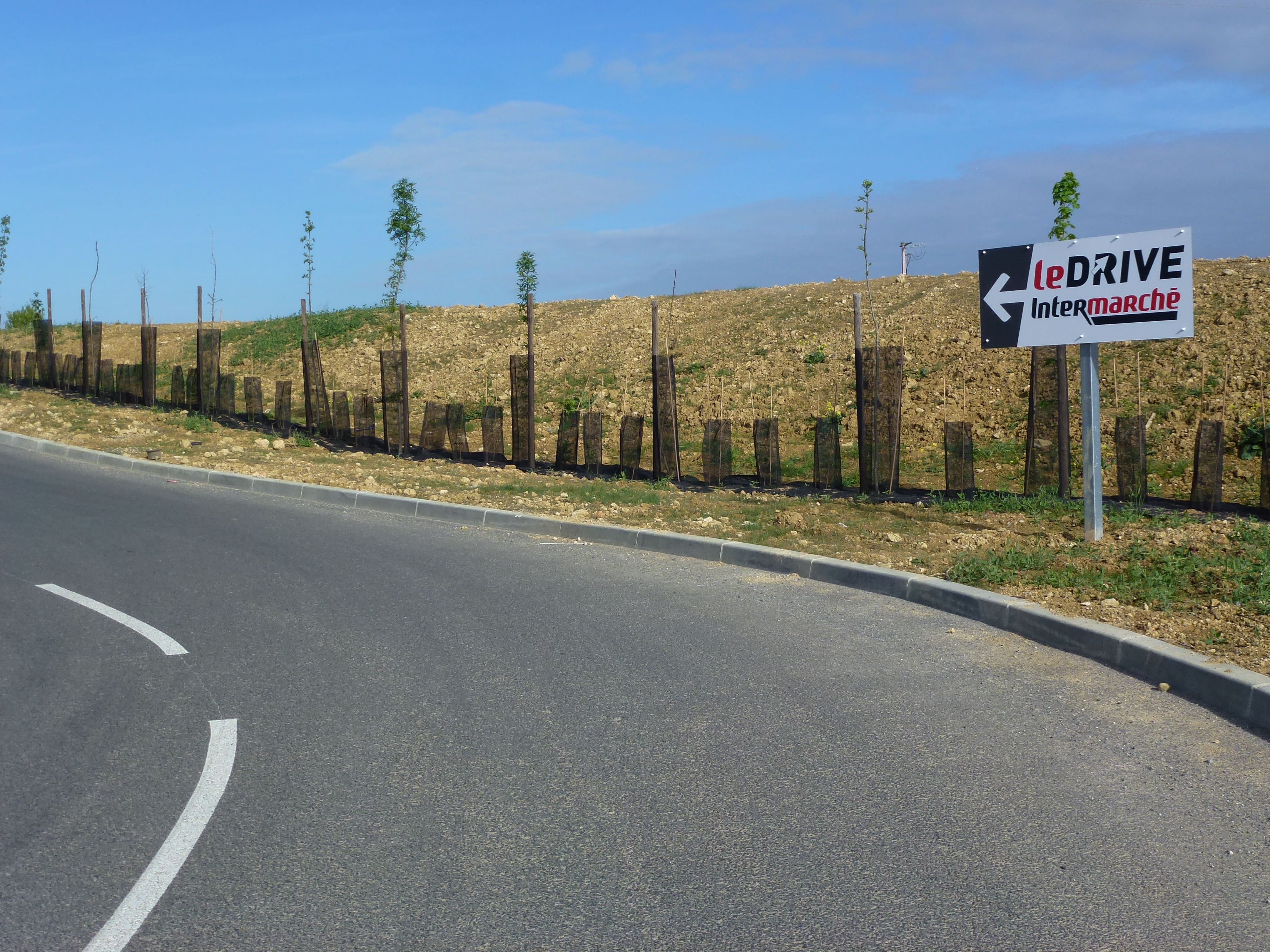 le grd chene drive plantations.jpg