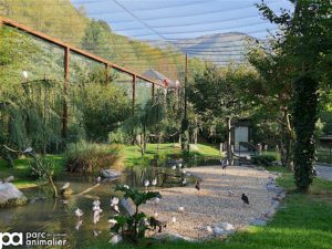 PARC-ANIMALIER-4-300x225.jpg