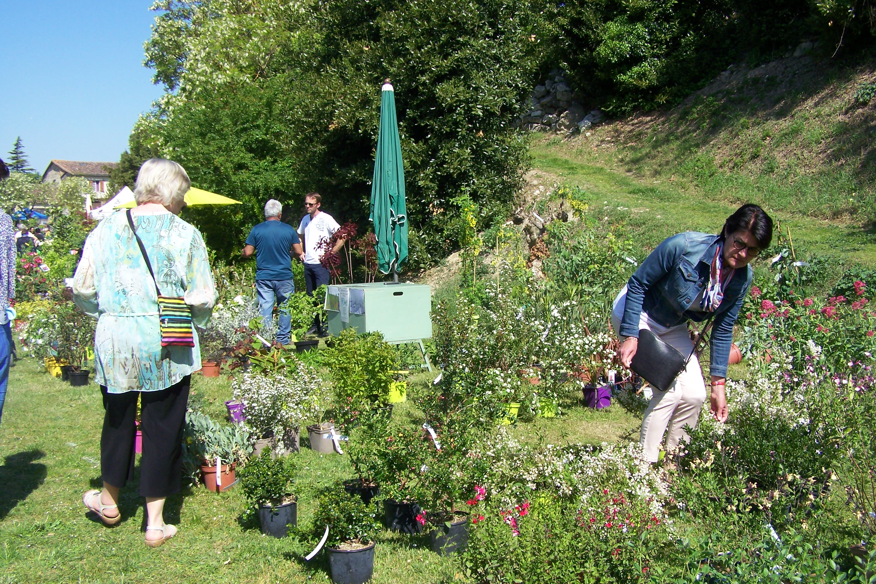 floralies de montaut les crénaux 2019 002.JPG