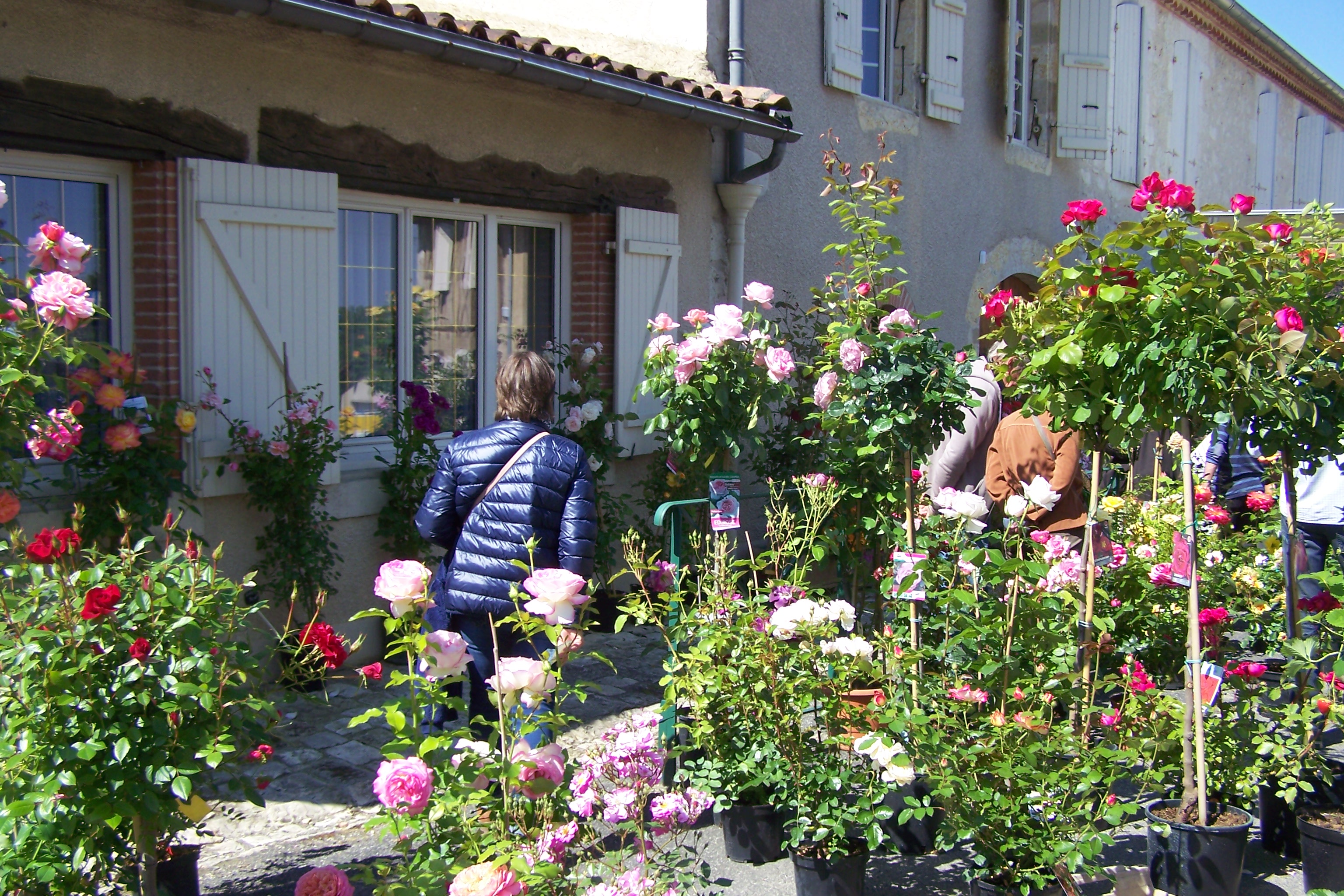 floralies de montaut les crénaux 2019 007.JPG