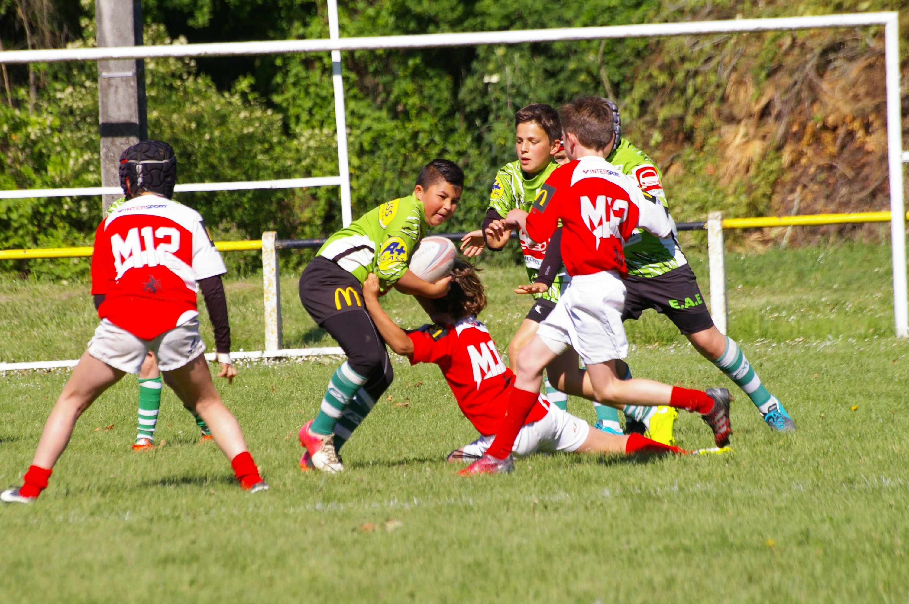 IMGP4650.JPG