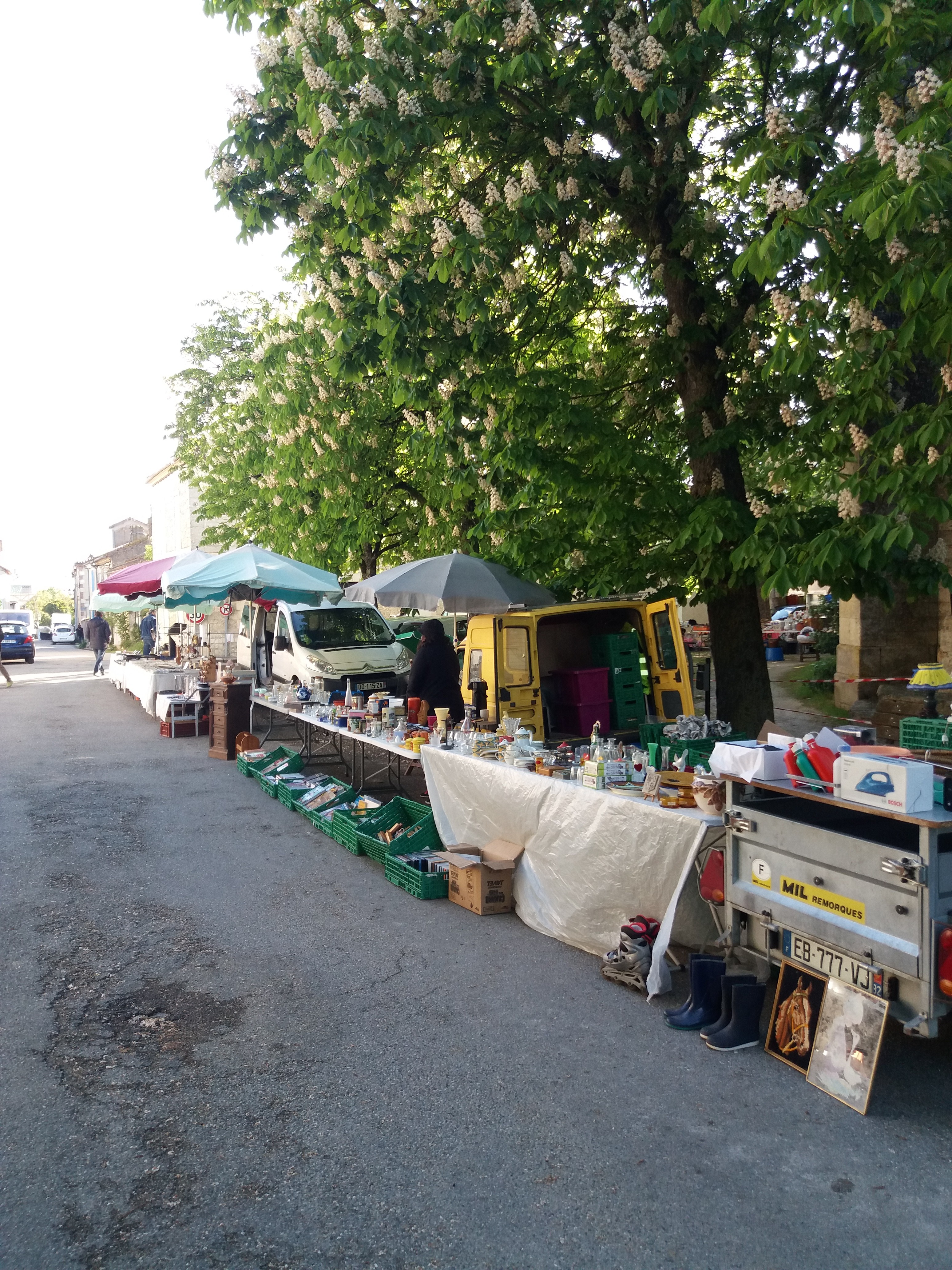 20190505_090936.jpg