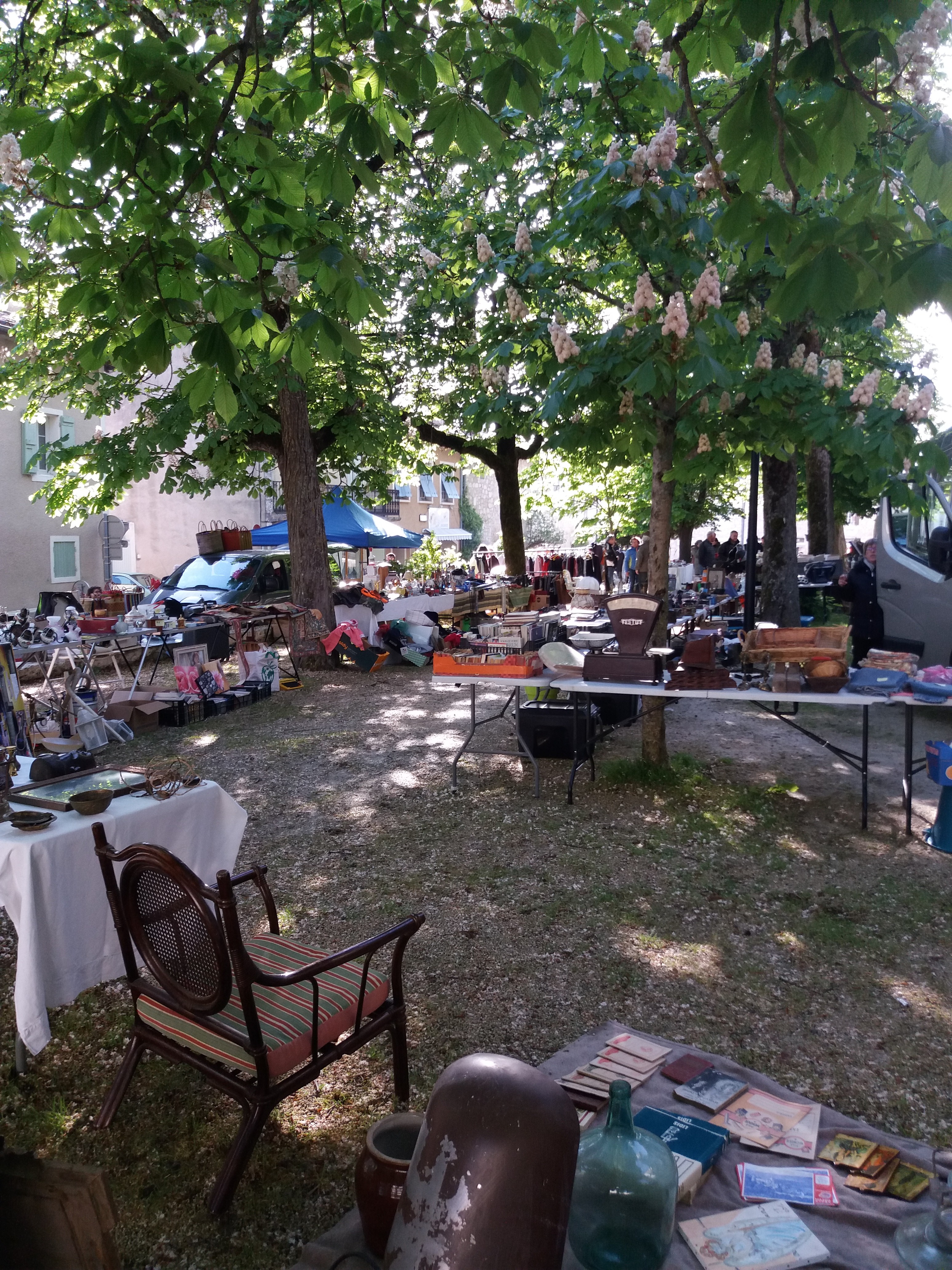 20190505_091010.jpg