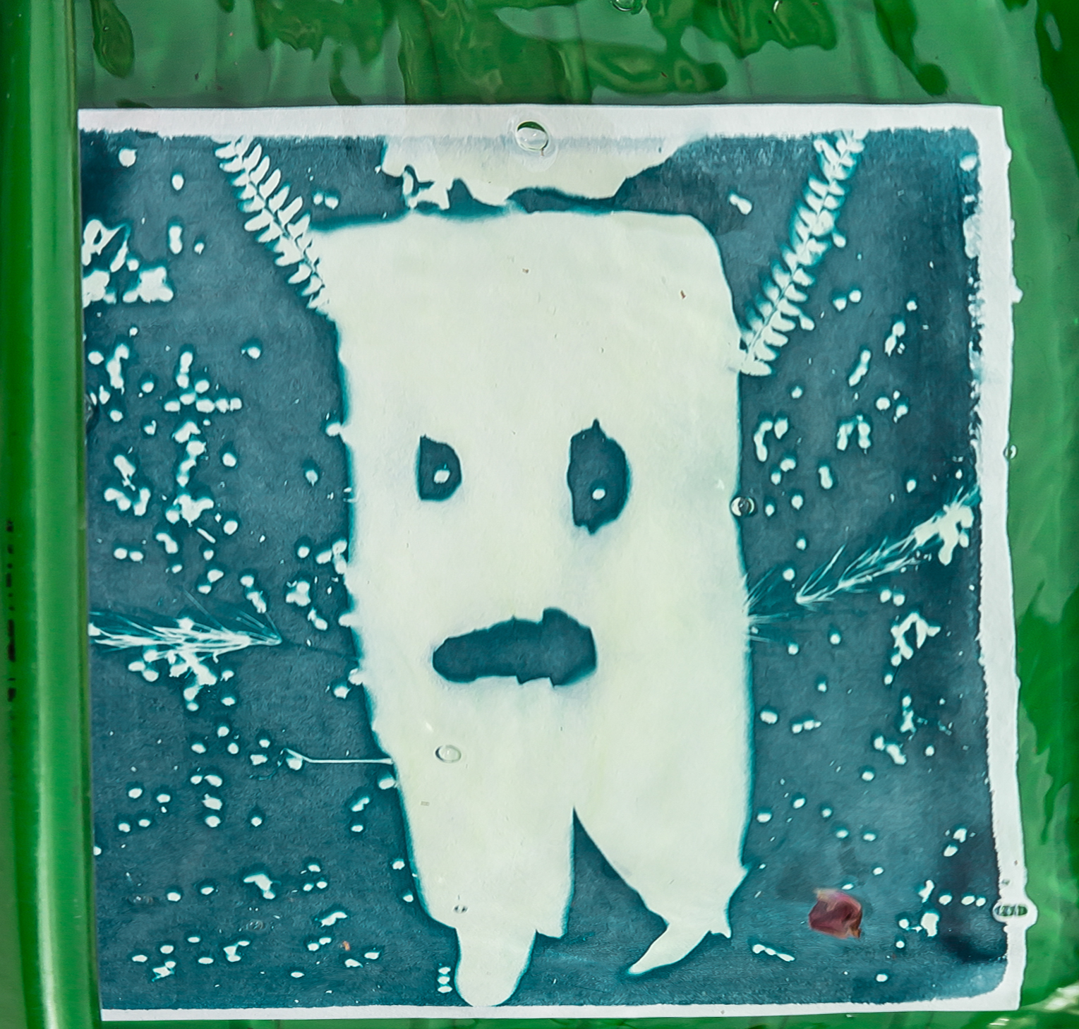 3bis Le fantôme apparaît dans la cuvette 1bis 070519.jpg