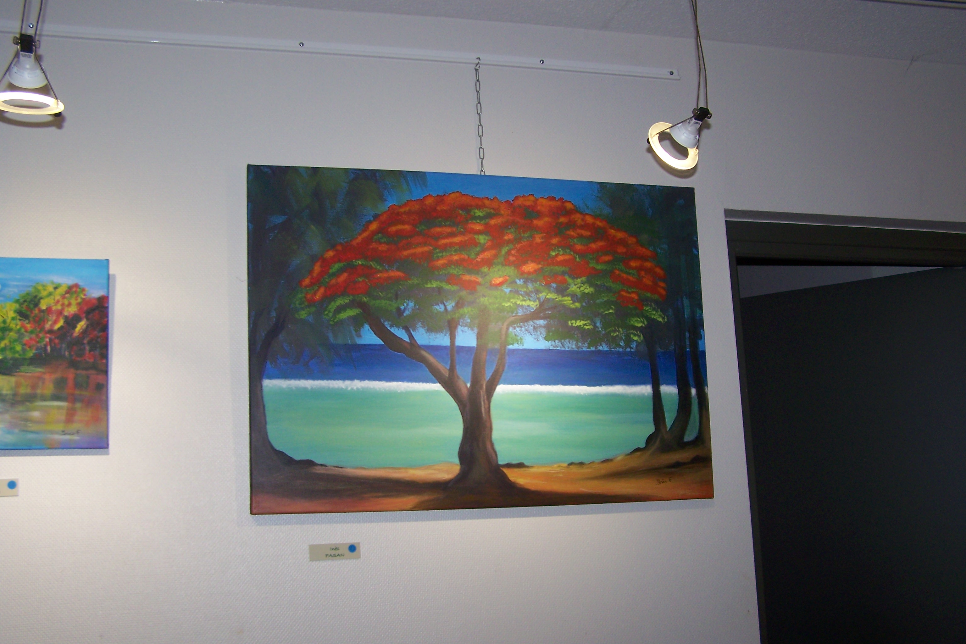 expo du lac 2019 001.JPG