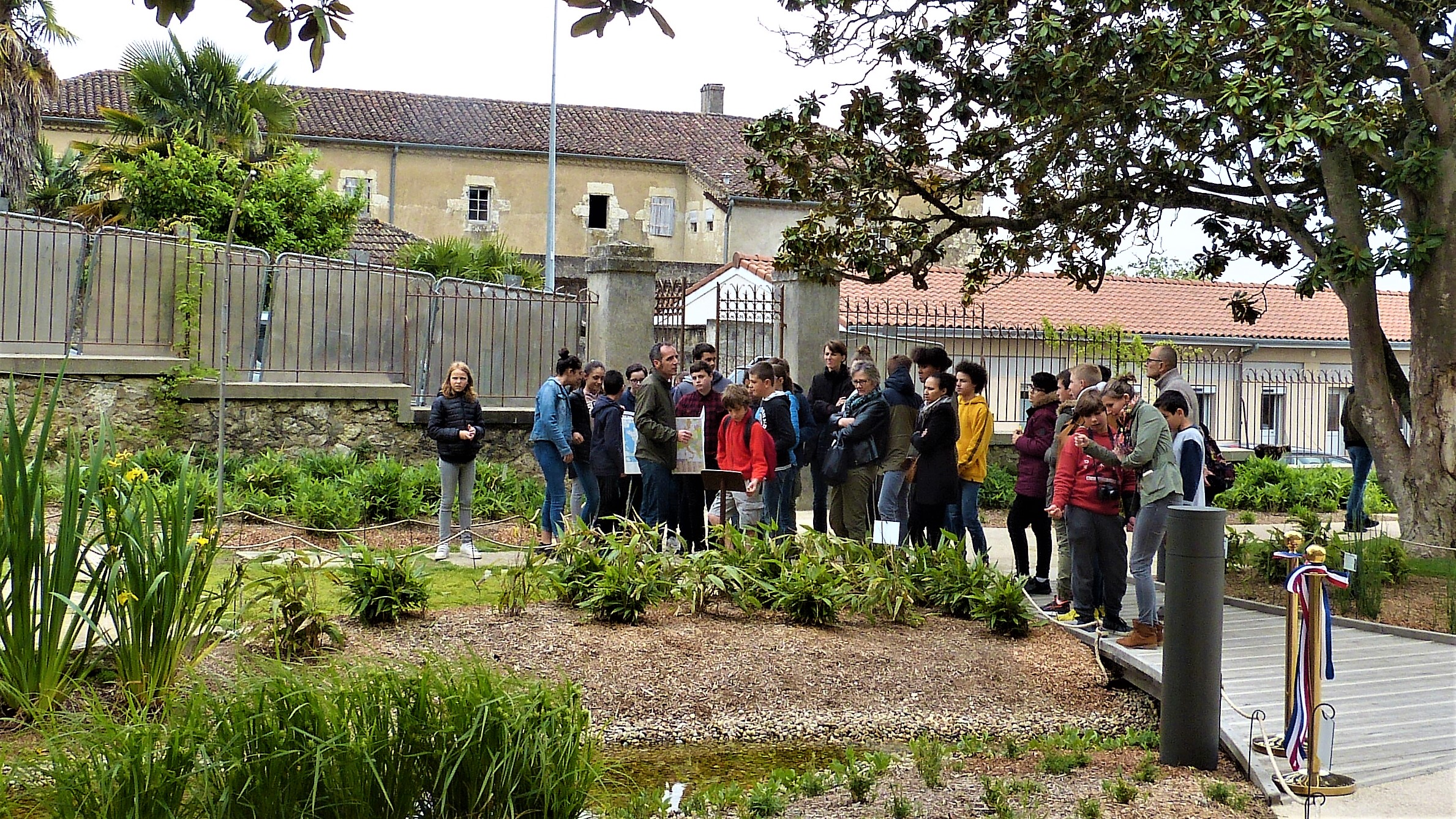 P1570551.jpg