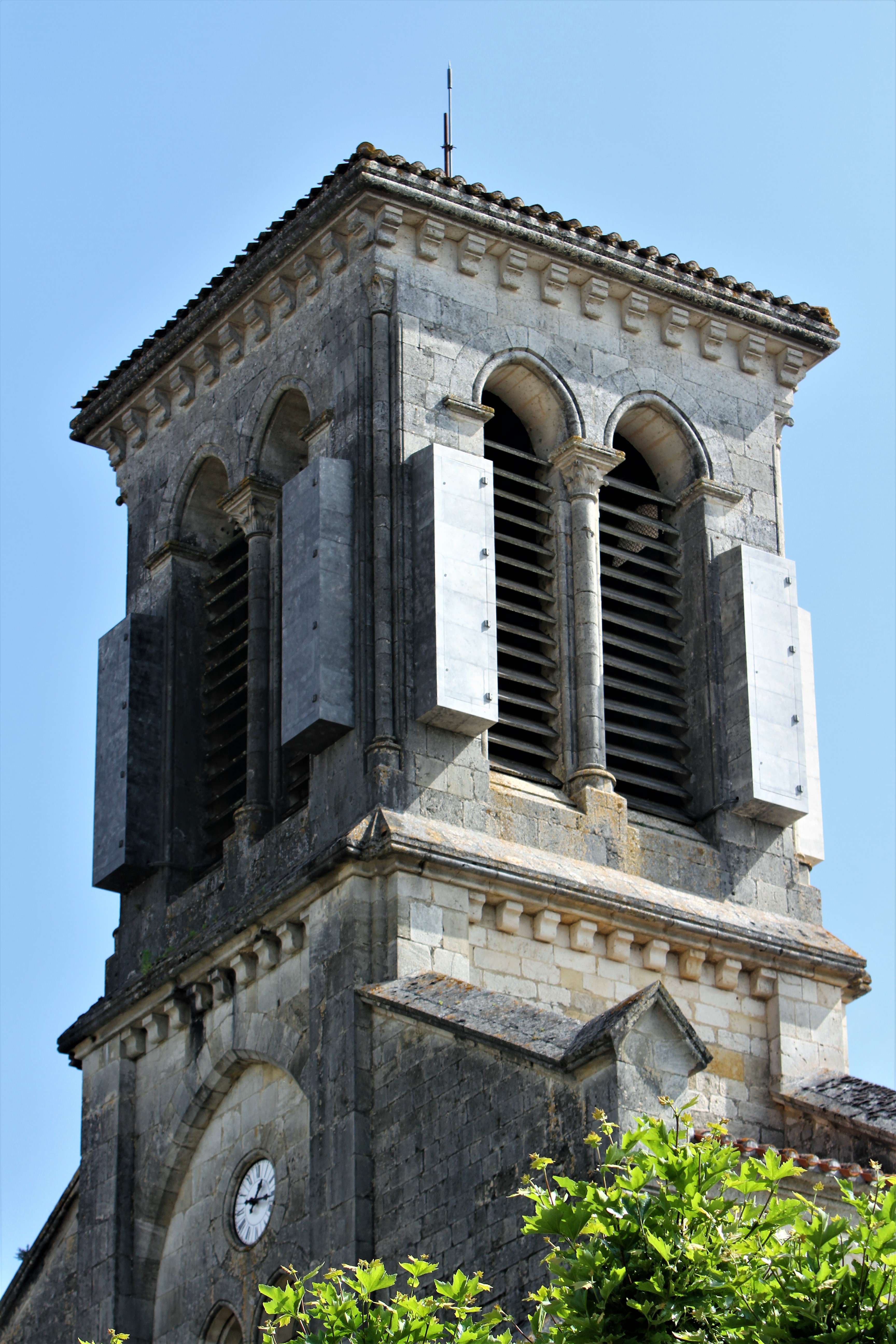 IMG_5981.JPG