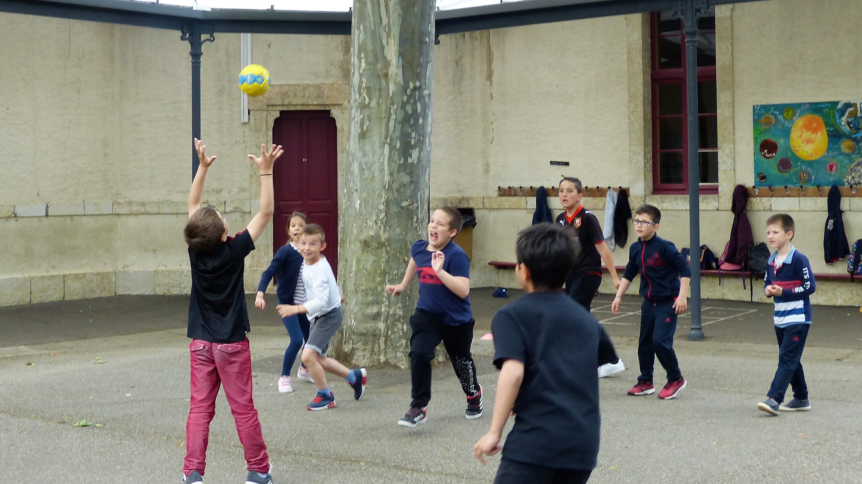 P1580430.jpg