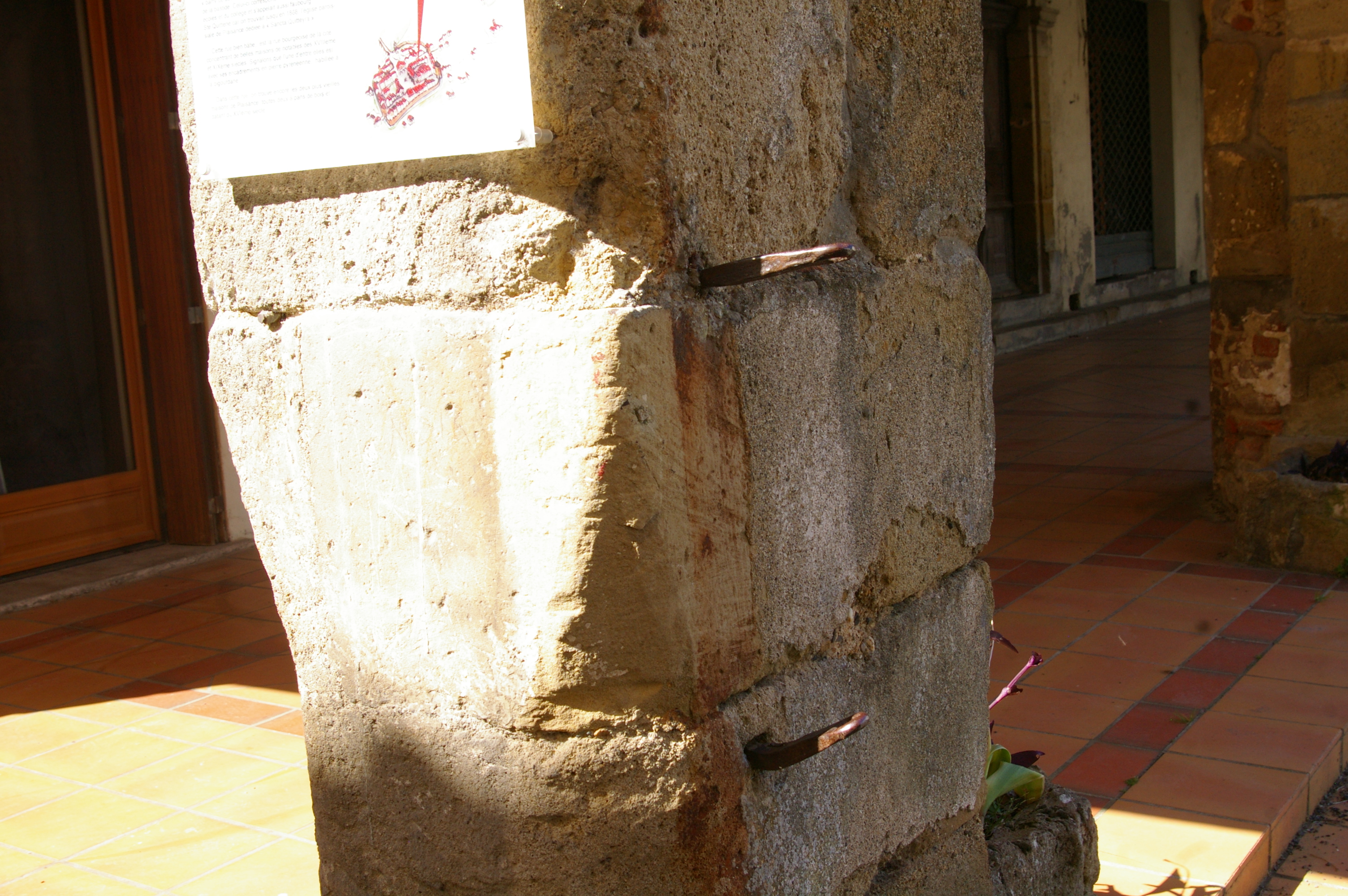 IMGP7338.JPG