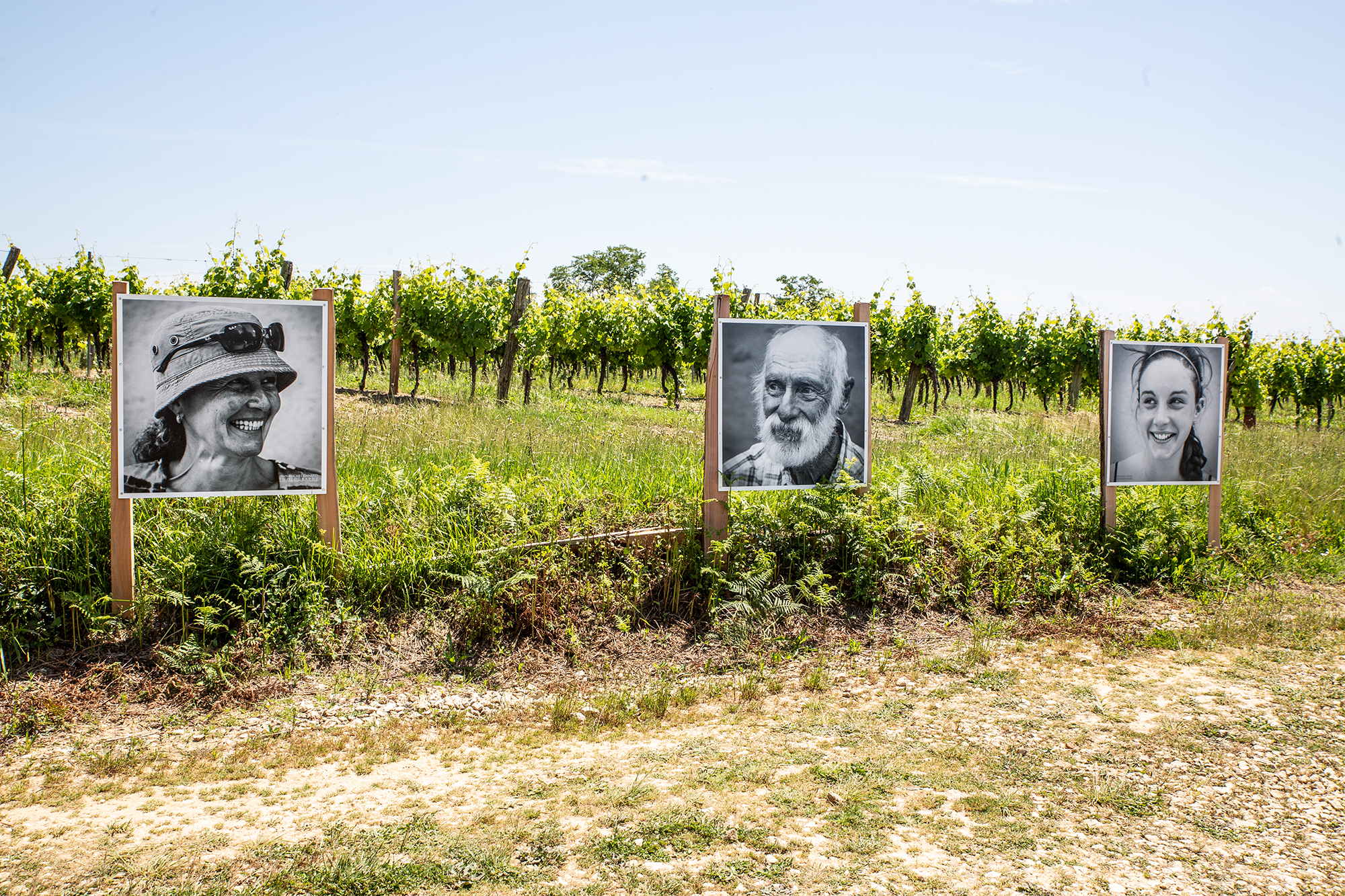 0 3 portraits 1bis 160619.jpg