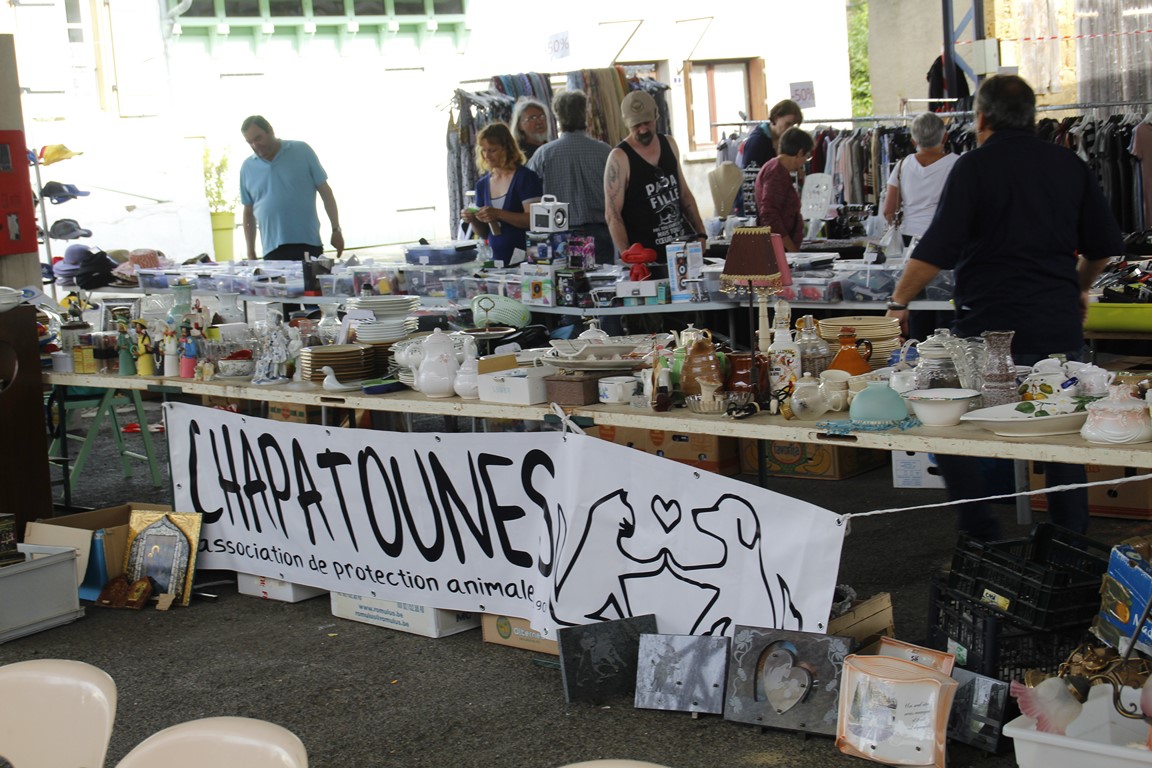 Vide grenier 23062019 (6) [1280x768].JPG
