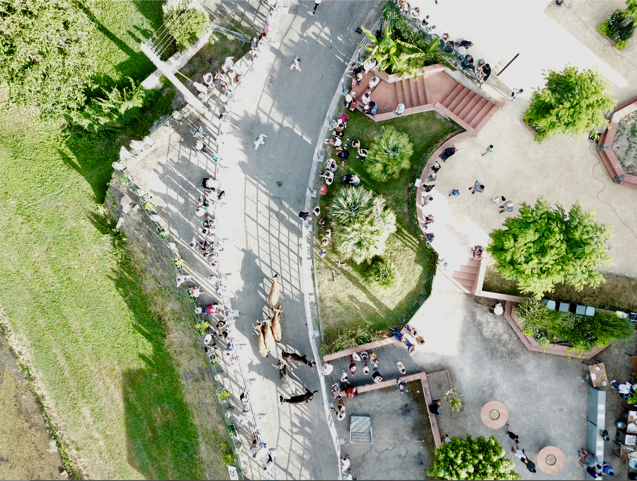 Screen Shot 2019-07-15 at 17.30.33 (1).png