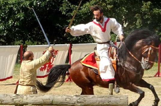 Arion Horses 2.PNG