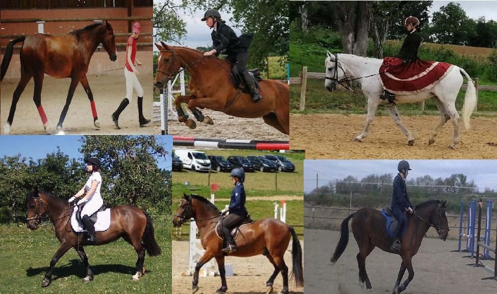 équitation photo journal 1.jpg