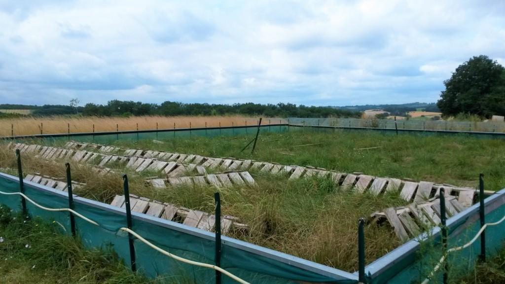 20190718_105309.jpg
