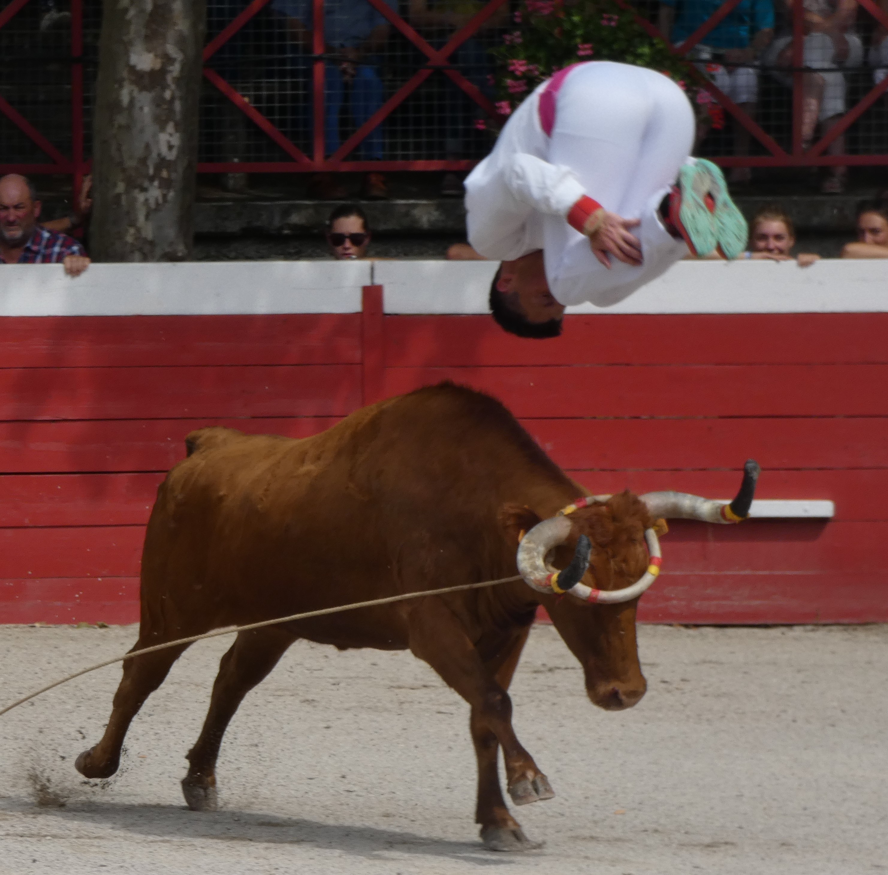 P1000032 (2).JPG
