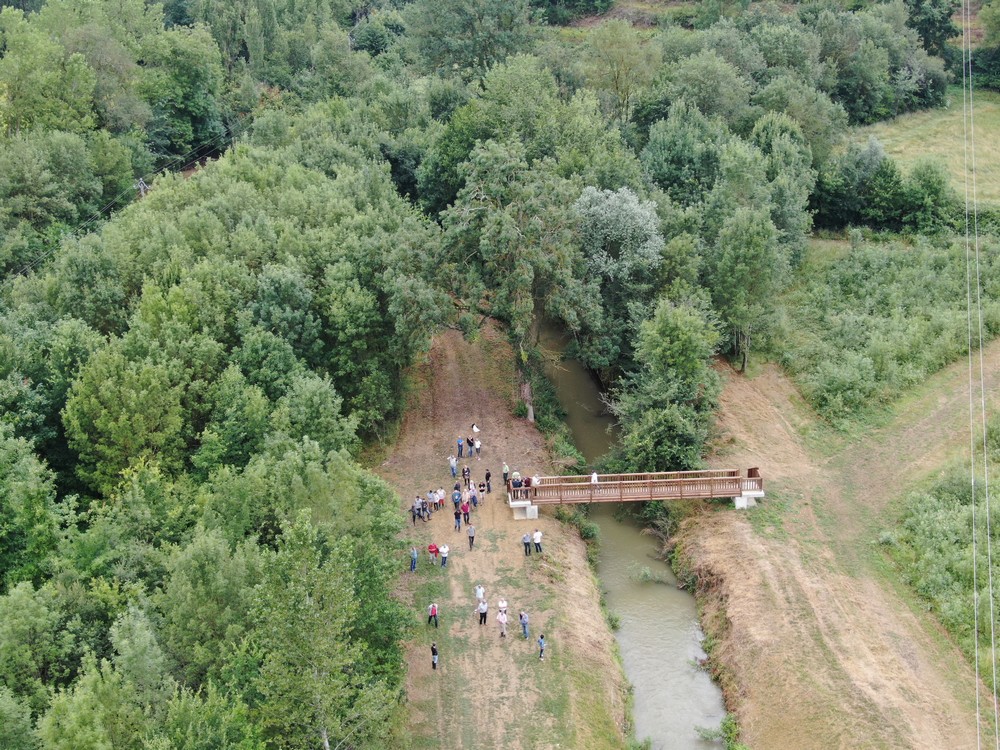DJI_00172(1).jpg