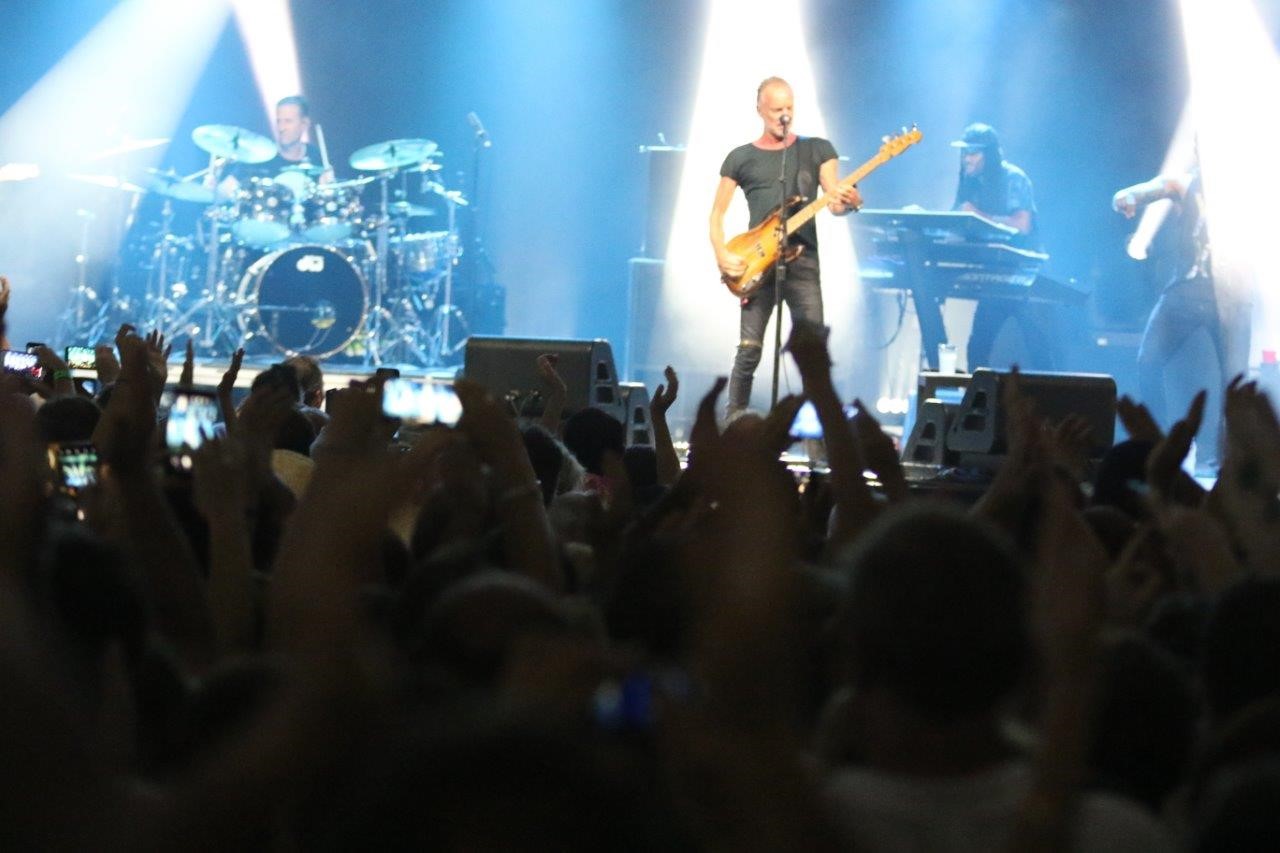 sting 2.jpg