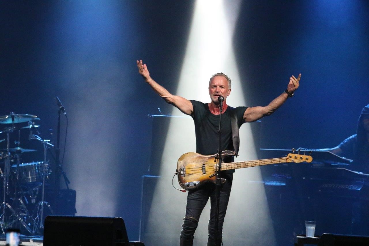 sting 3.jpg