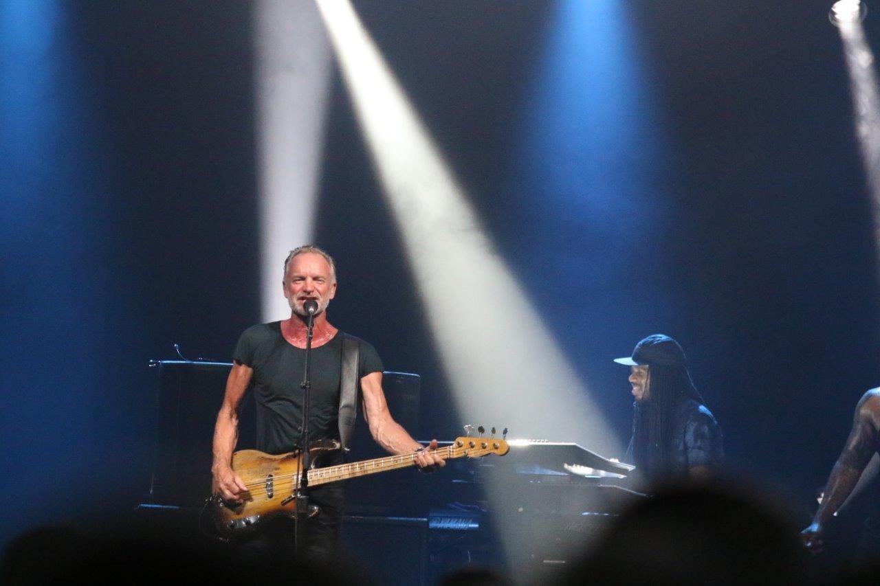 sting 4.jpg
