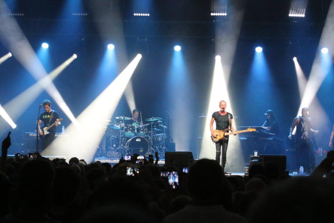 sting scene 2.jpg