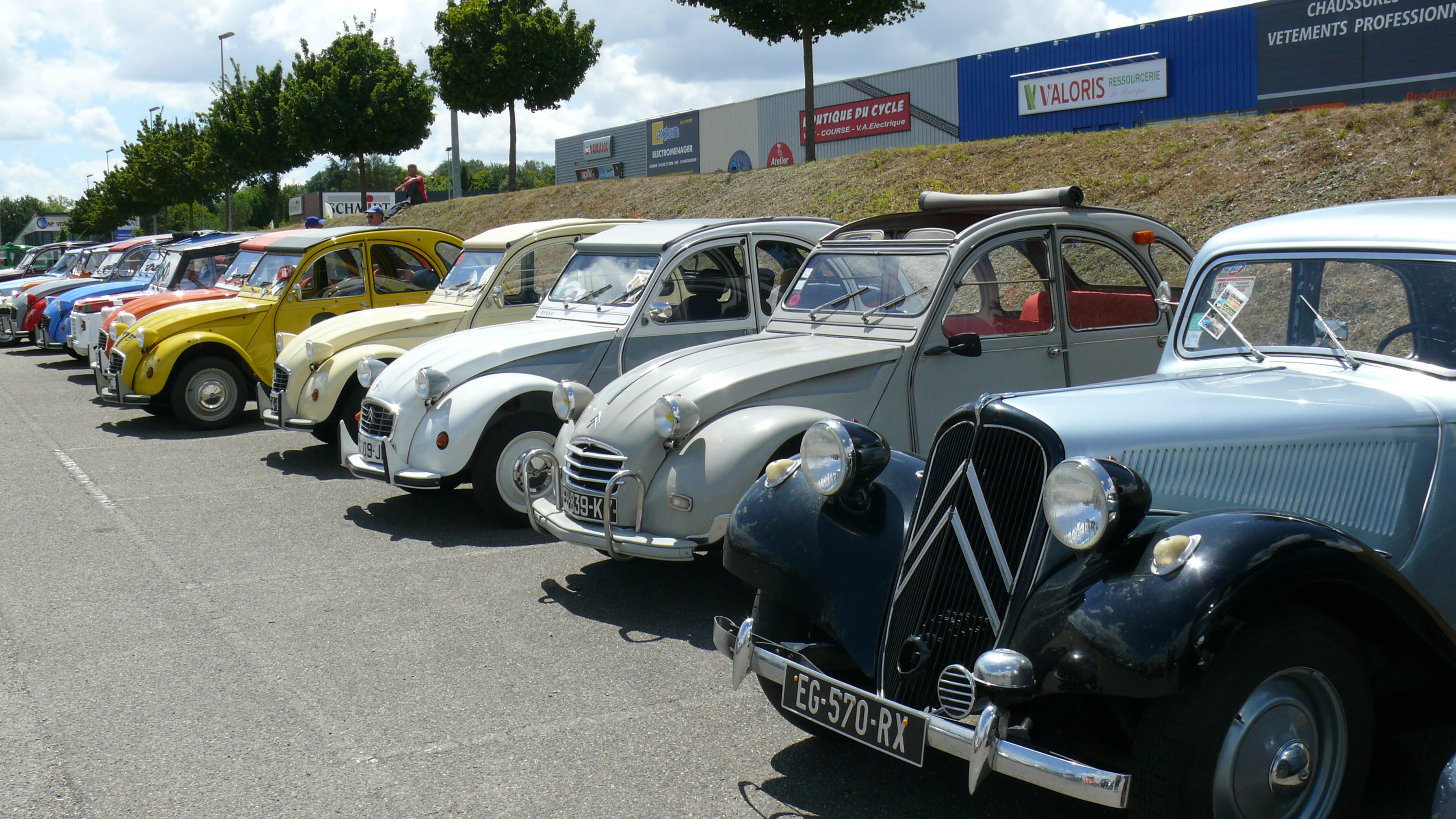 P1580727.JPG