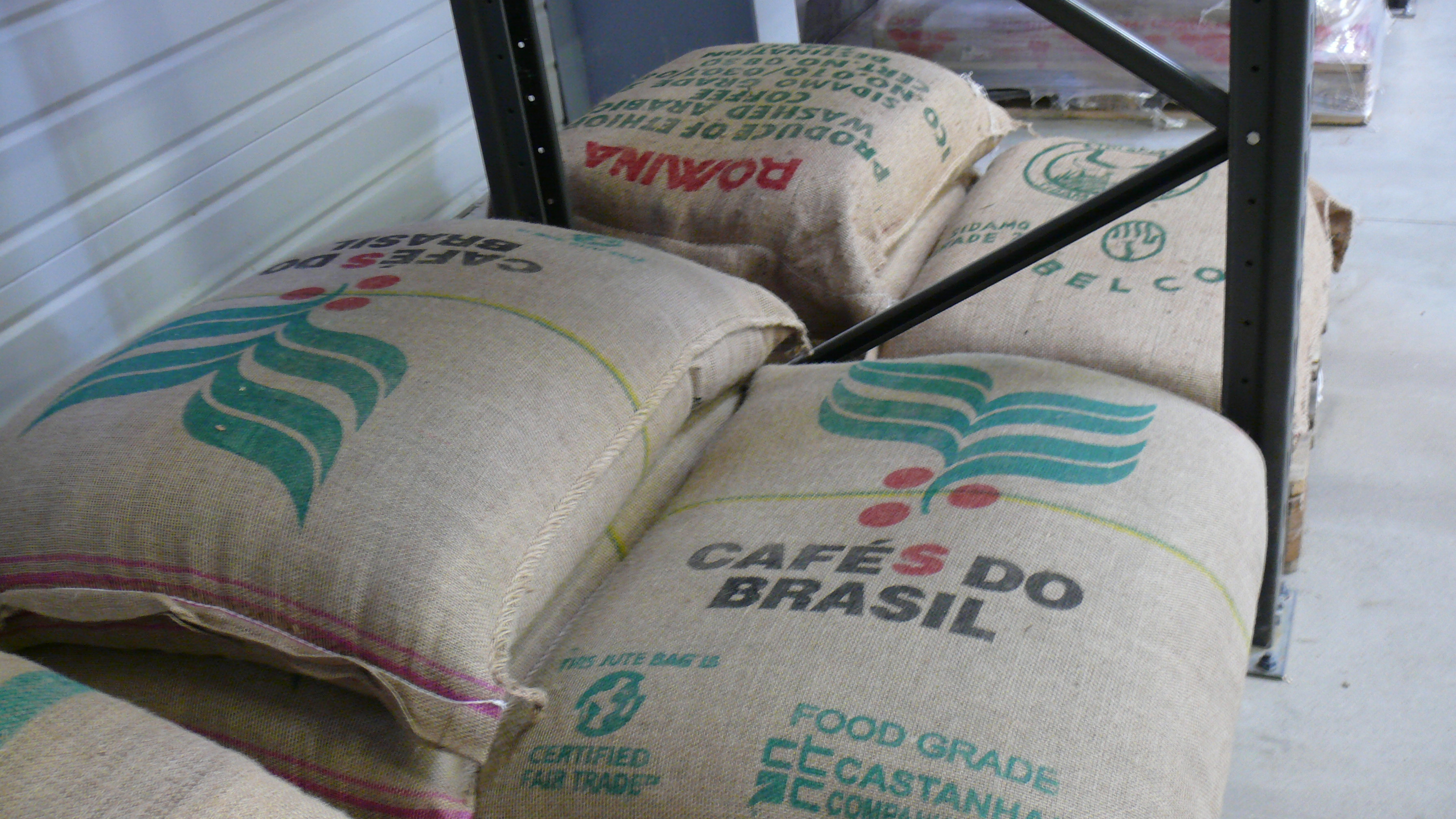 P1580770.JPG