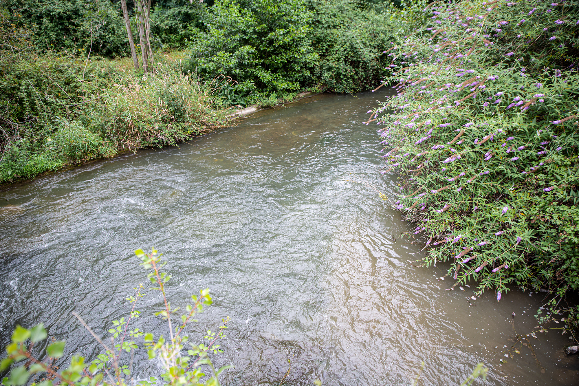11 Mélange de l'eau des Pyrénées et de celle de l'Adour 1bis 180719.jpg