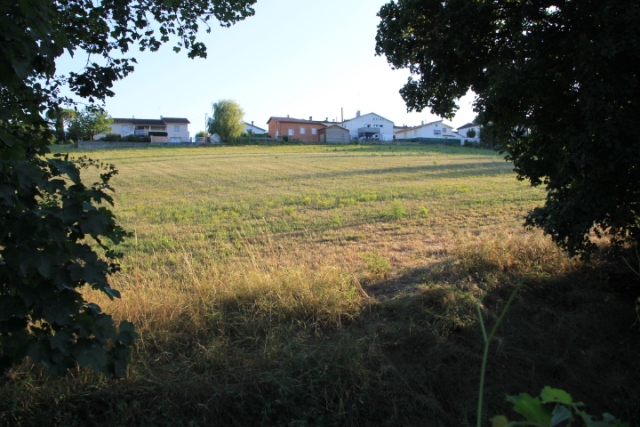 IMG_5787.JPG