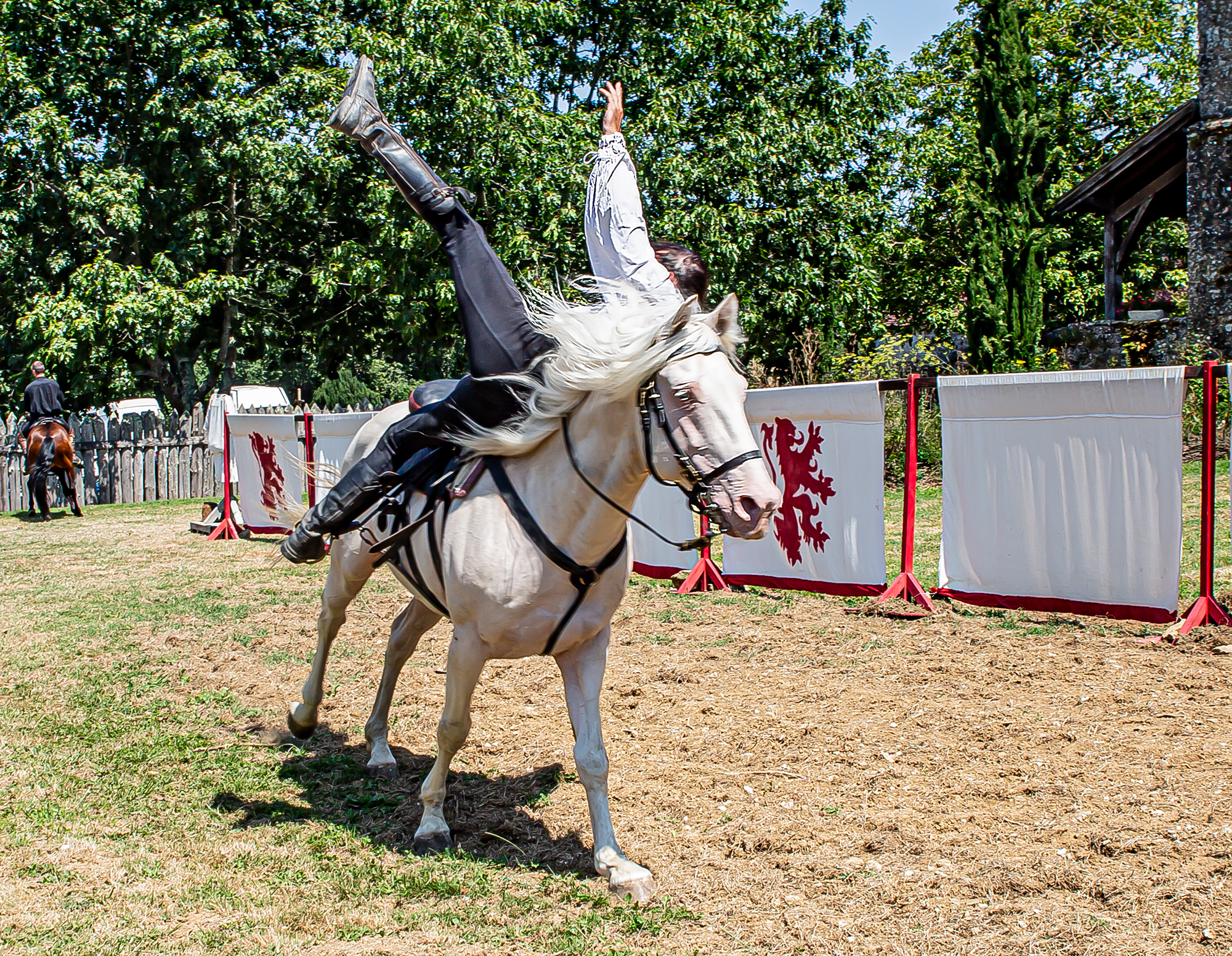 1 Voltige à cheval par Arion Horse Show1bis 040819.jpg